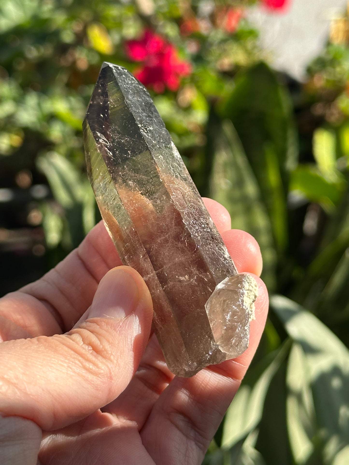 Swiss Smoky Quartz Crystal
