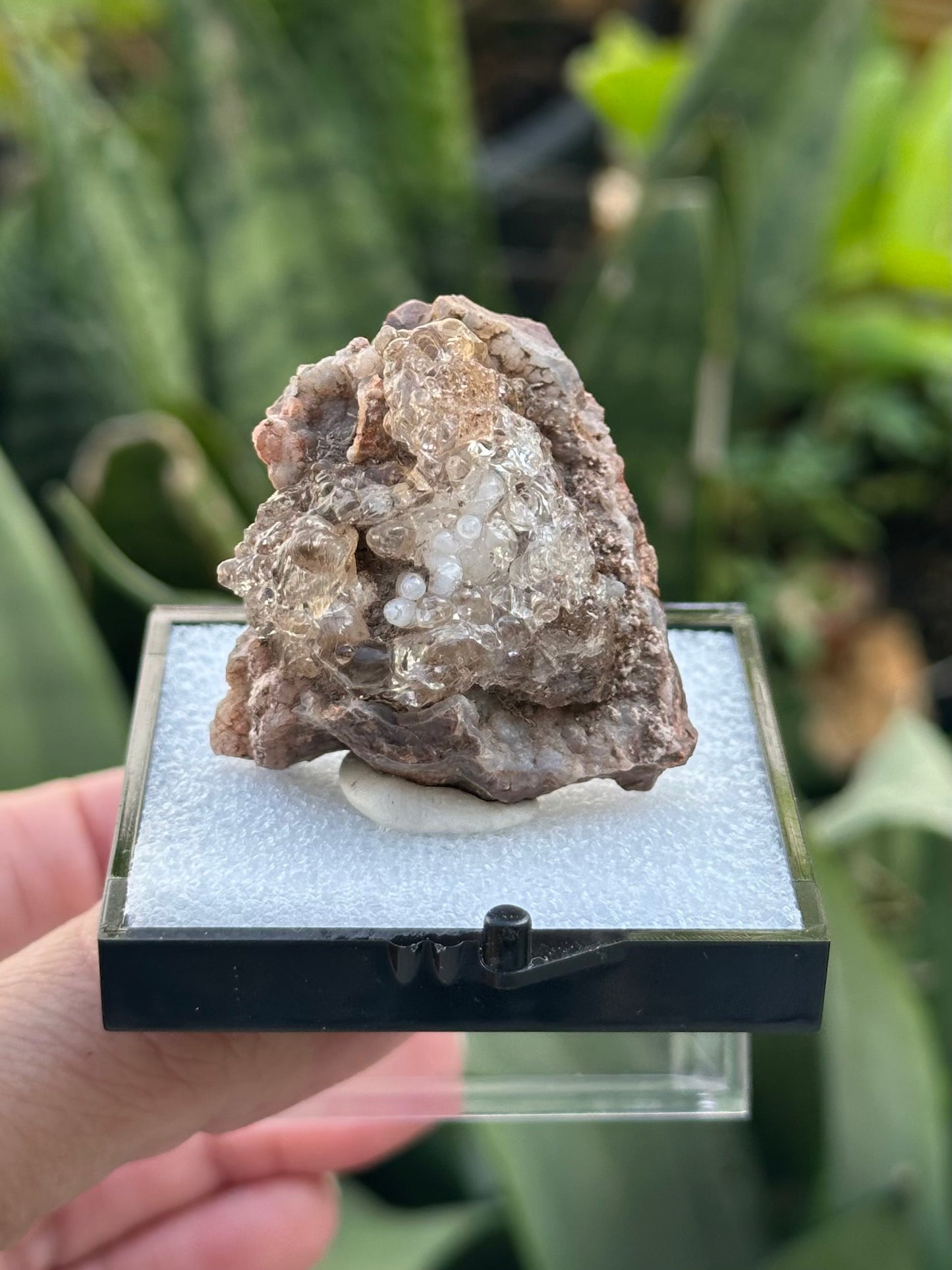 Hyalite Opal from Mexico