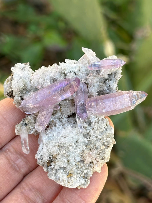 Veracruz Amethyst Crystals on Matrix