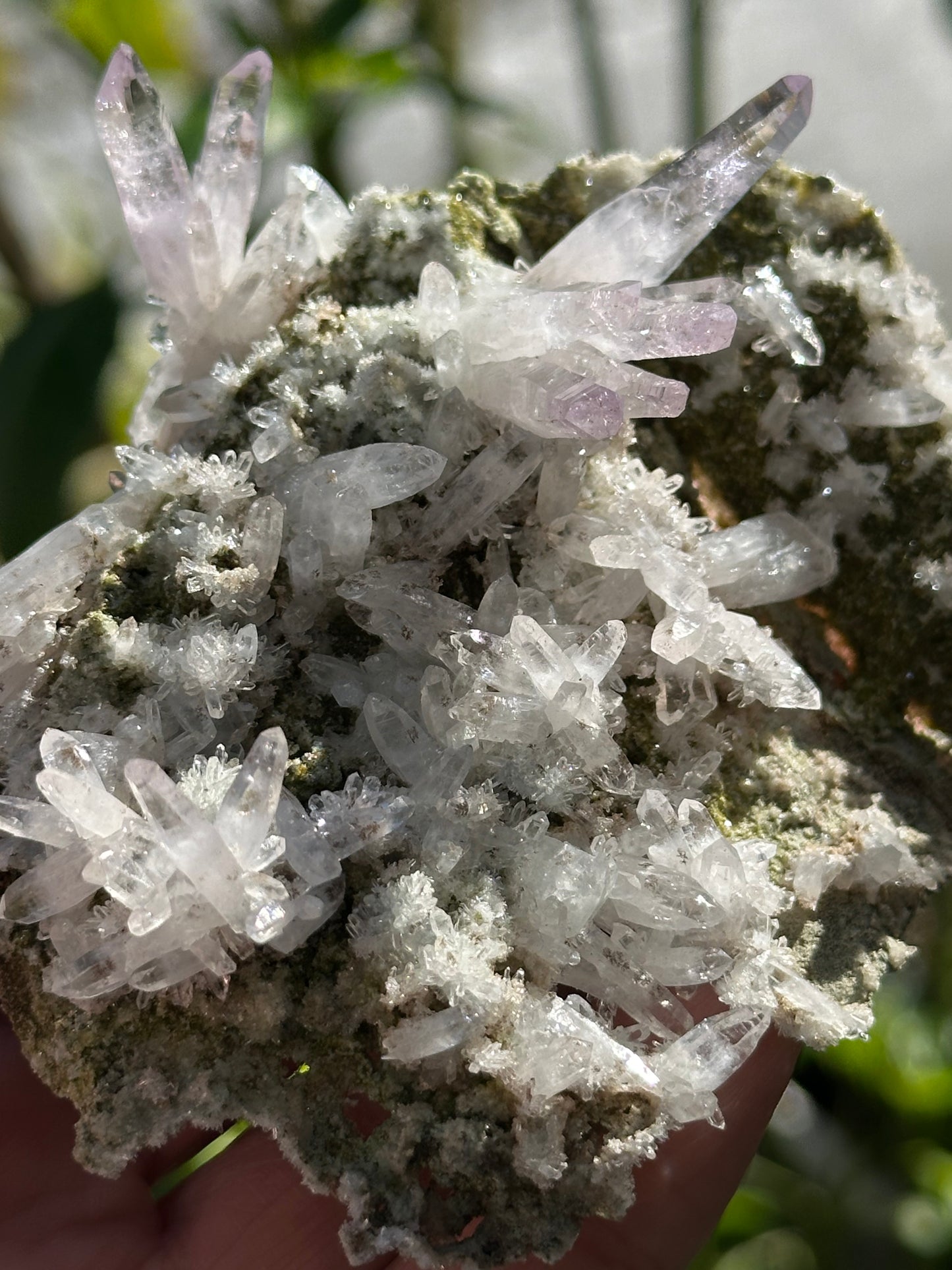 Veracruz Amethyst Crystals on Matrix