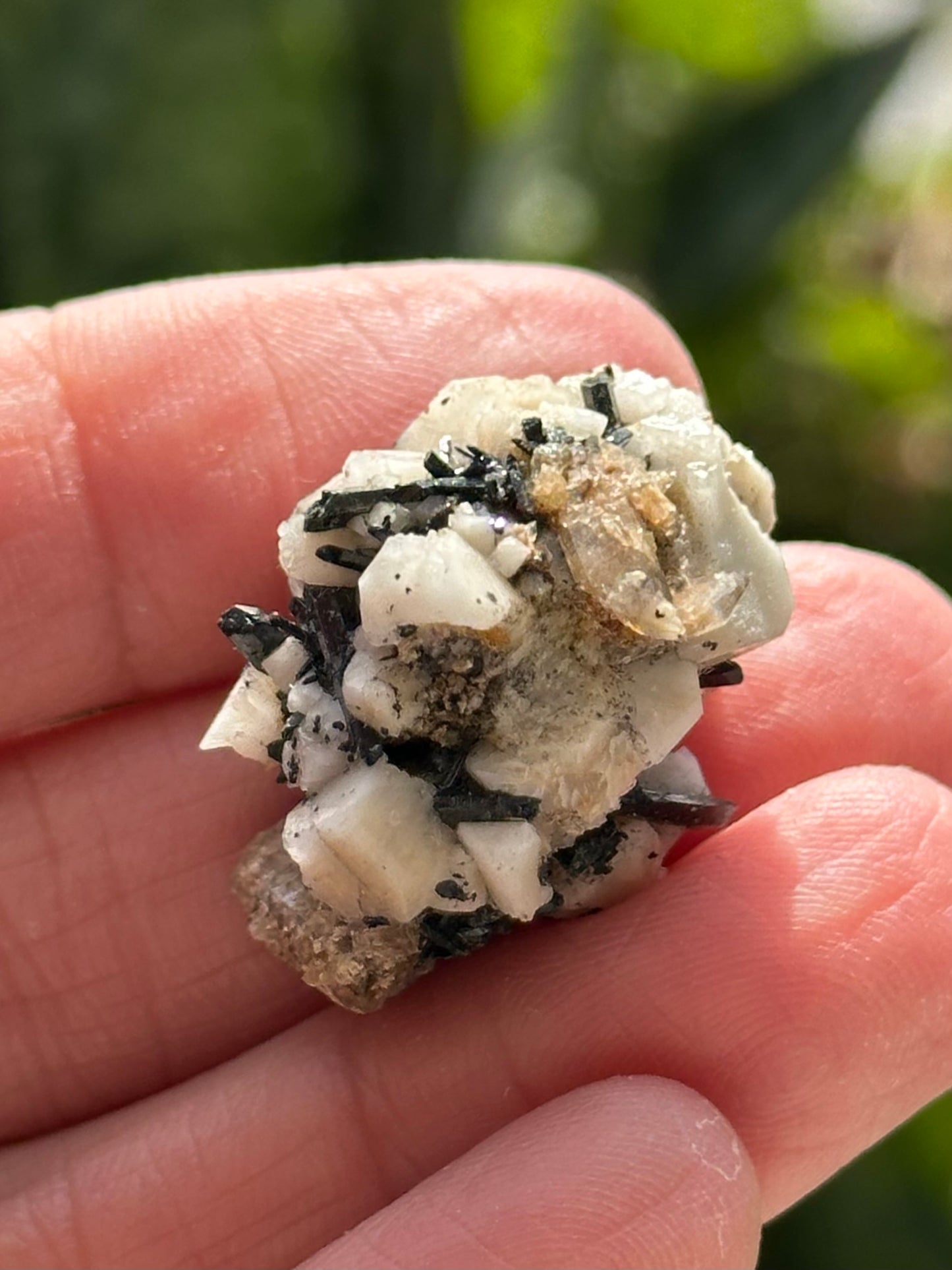 Aegirine and Feldspar Specimen