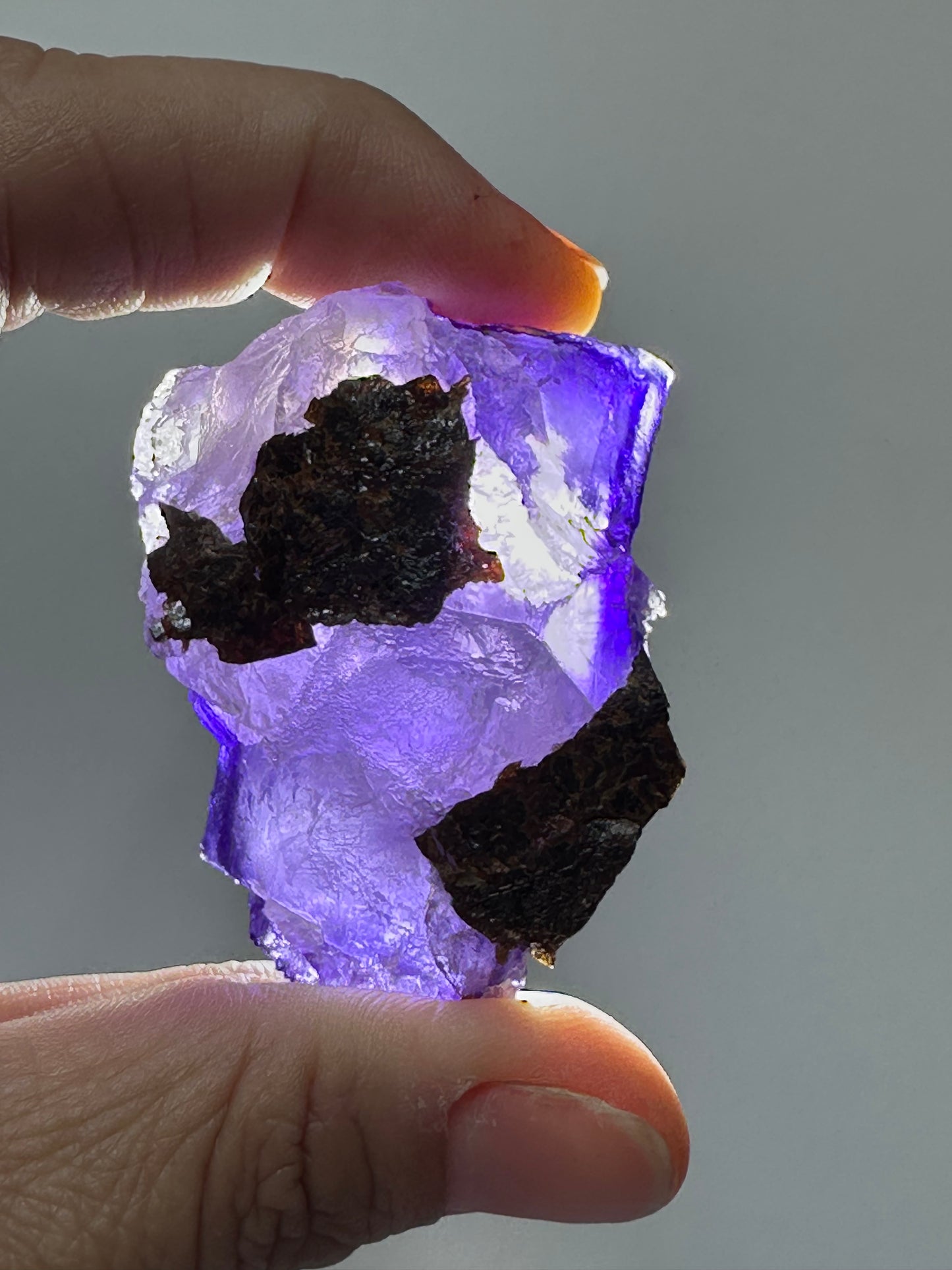 Fluorite with Sphalerite Specimen from the Elmwood Mine