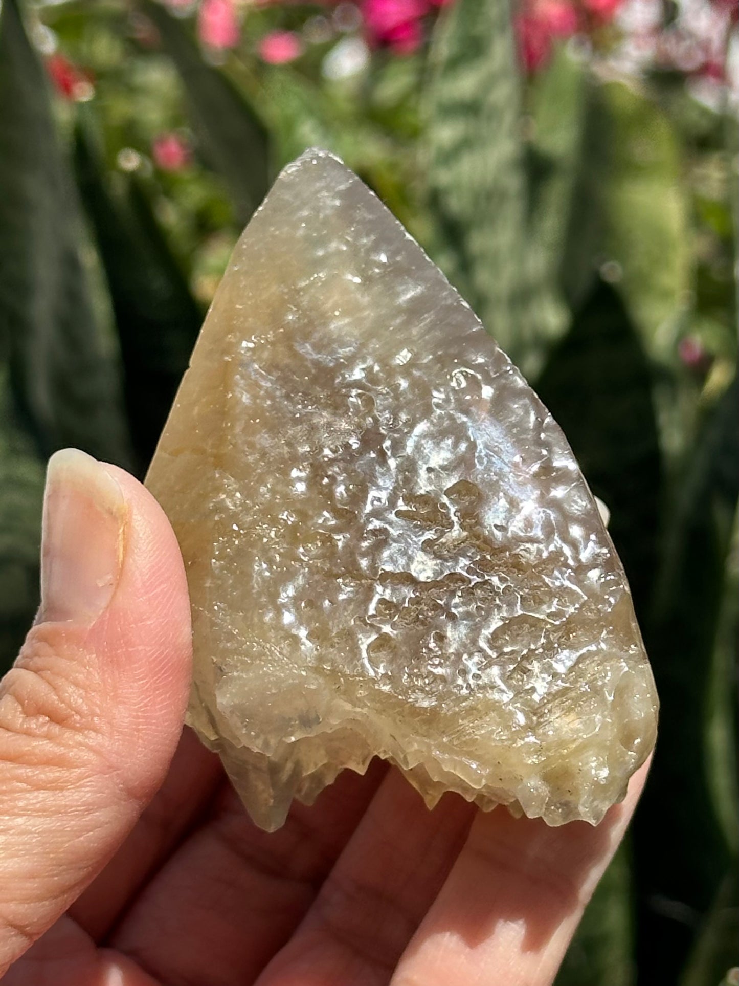 Etched Calcite with Galena