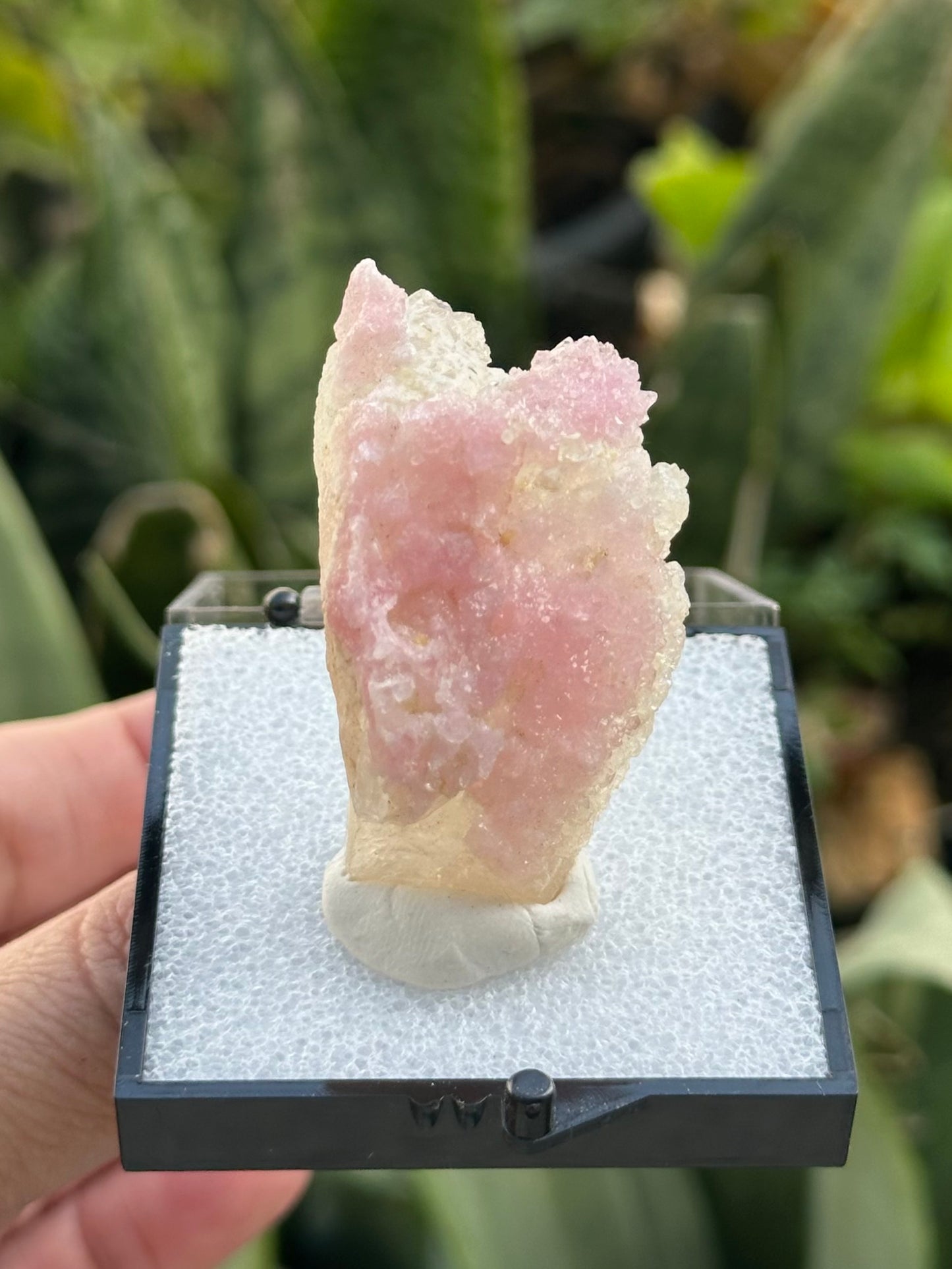 Crystallized Rose Quartz on Quartz