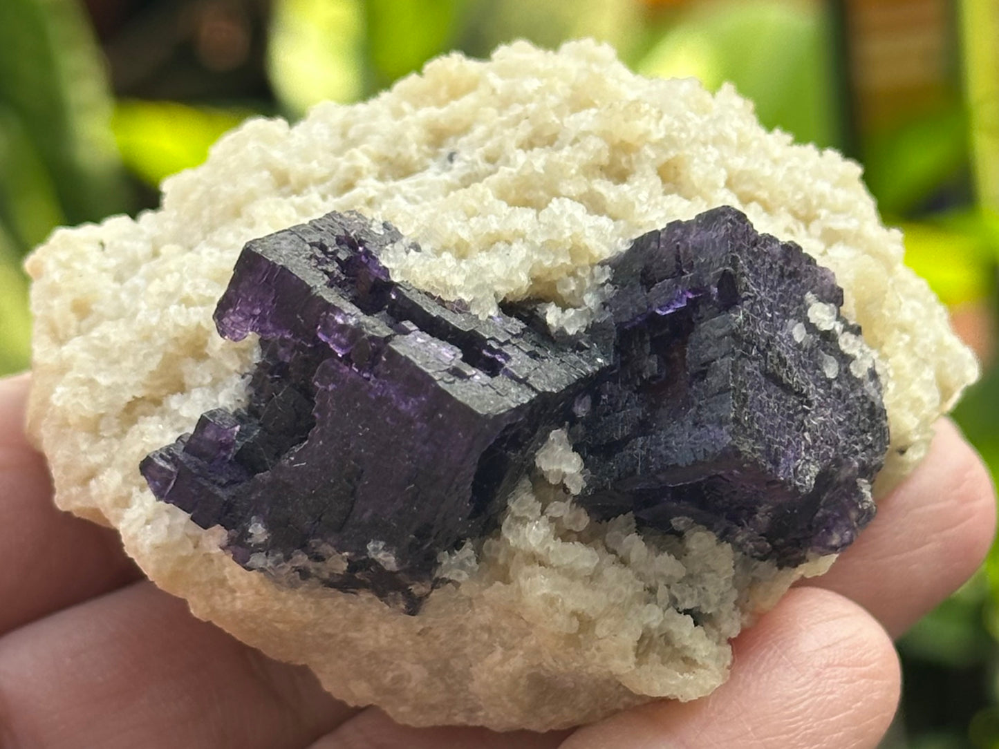 Fluorite and Dolomite from the Elmwood Mine