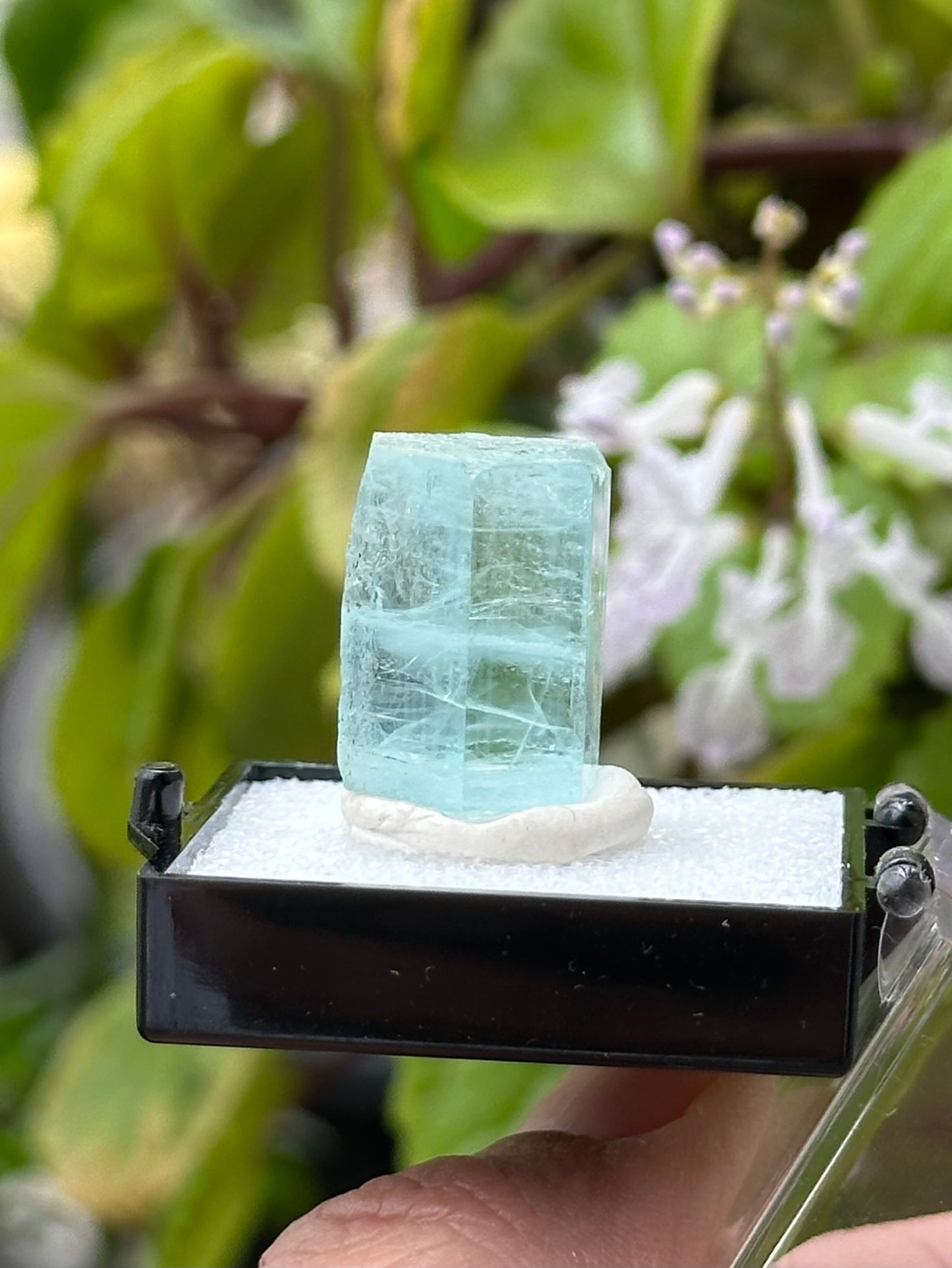 Aquamarine from Shigar Valley