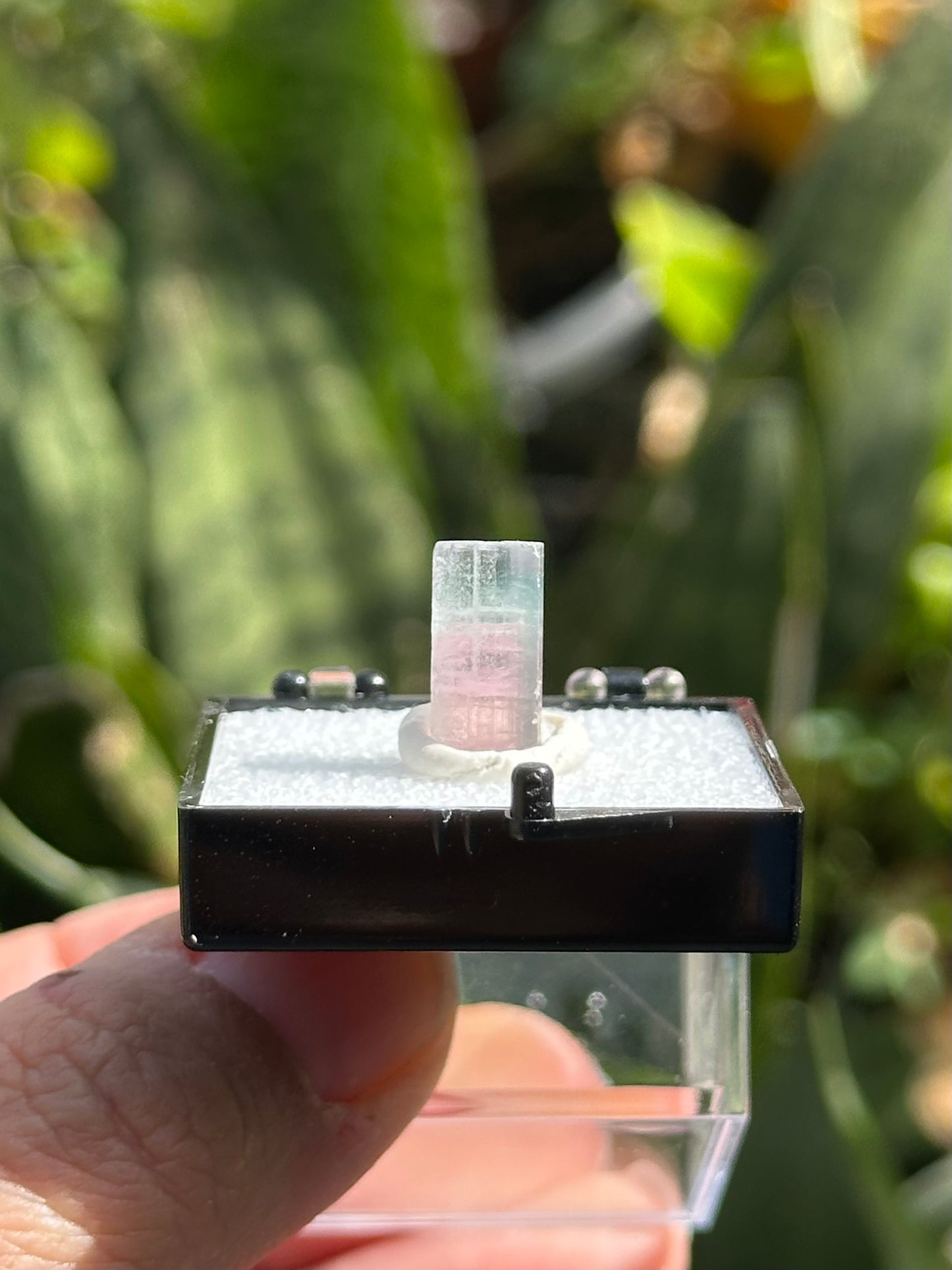 Paprok Tourmaline