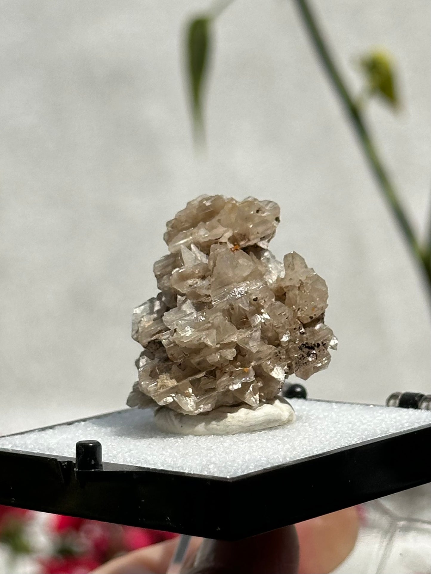 Cerussite