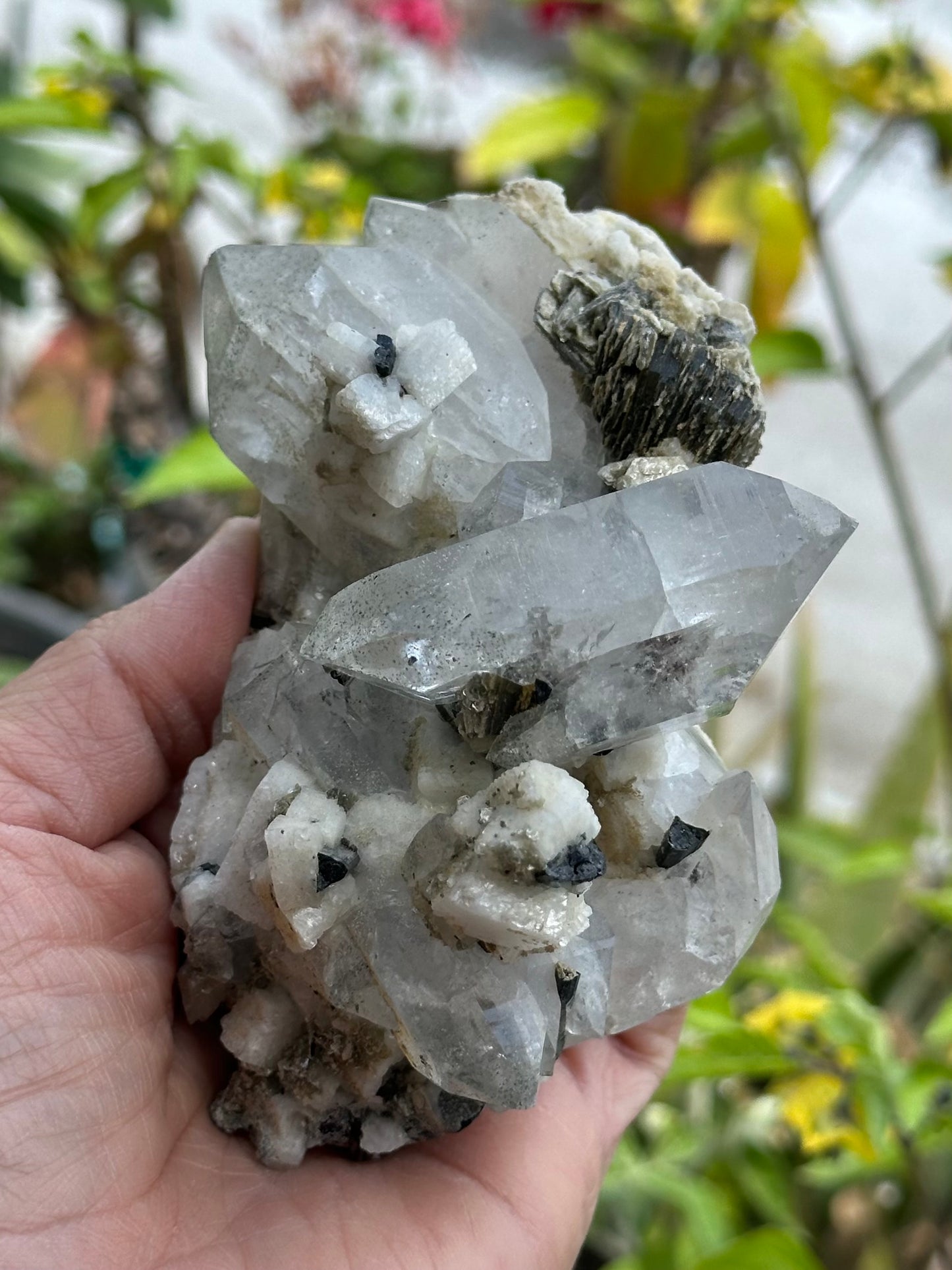 Quartz, Schorl, Albite, and Mica Specimen