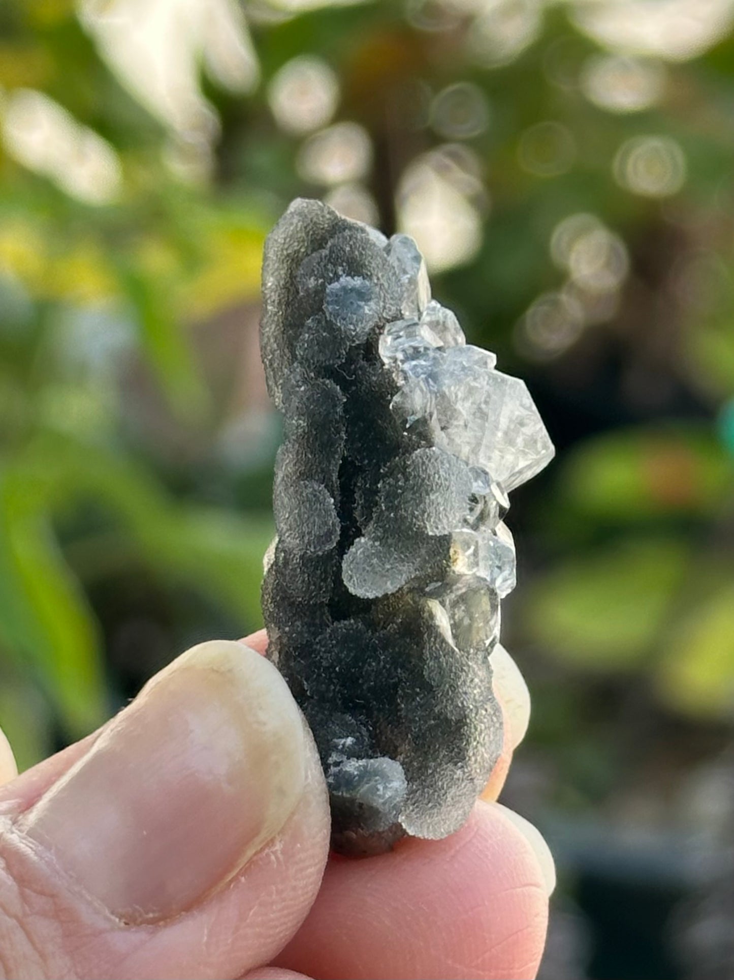 Black Chalcedony with Apophyllite
