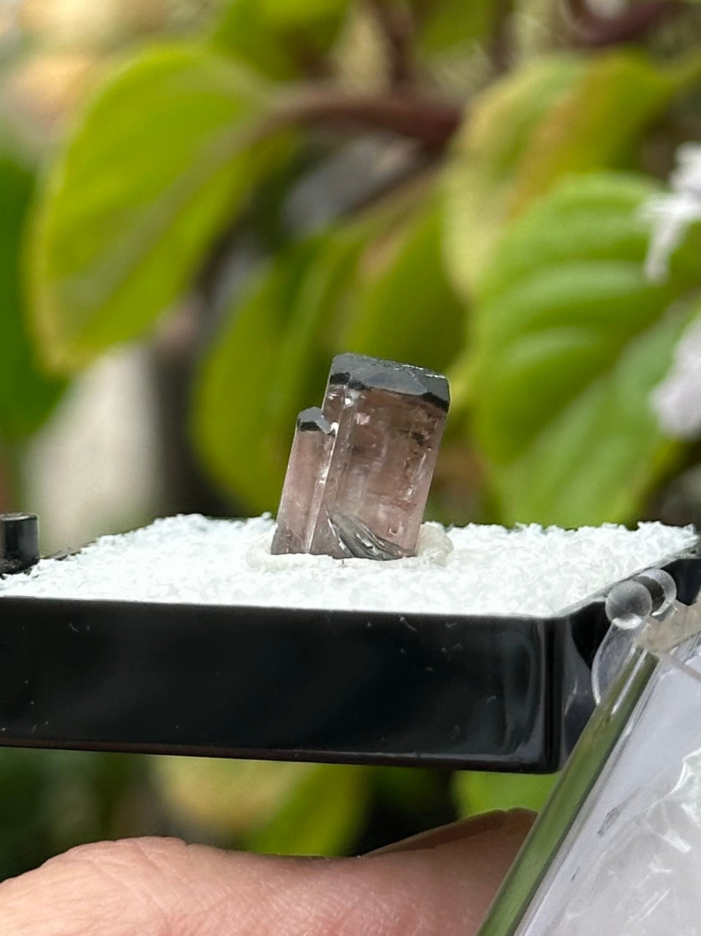 Tourmaline Specimen from Afghanistan