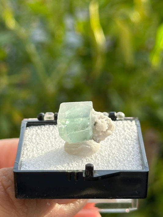 Fluorite with Quartz from the Yaogangxian Mine