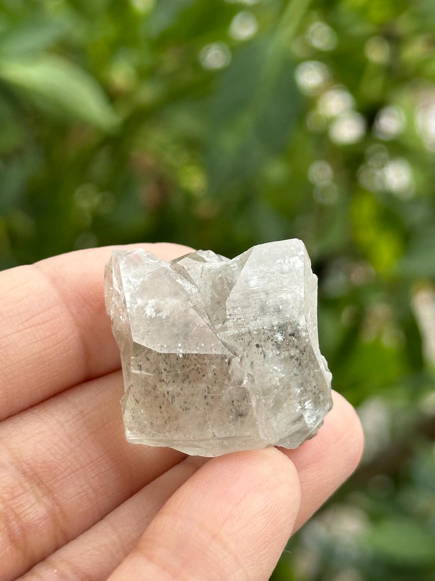 Calcite and Marcasite from the Linwood Mine