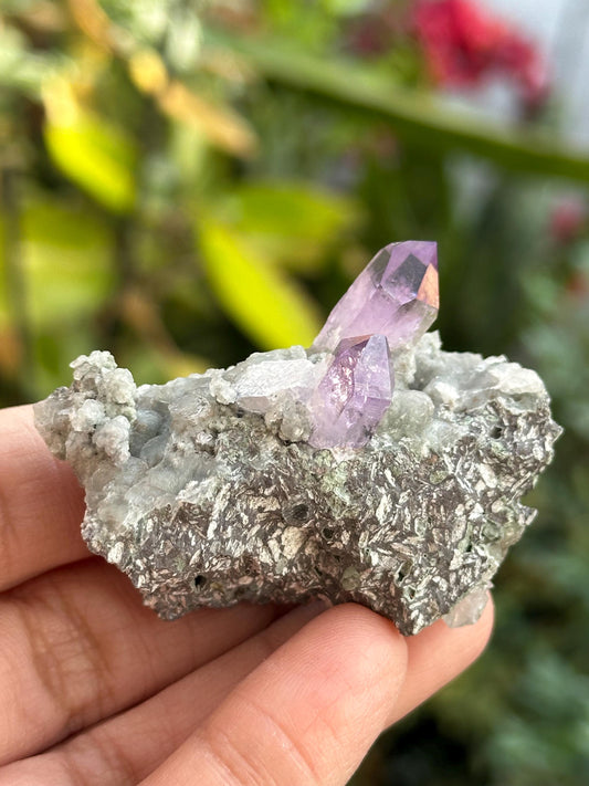 Veracruz Amethyst on Matrix