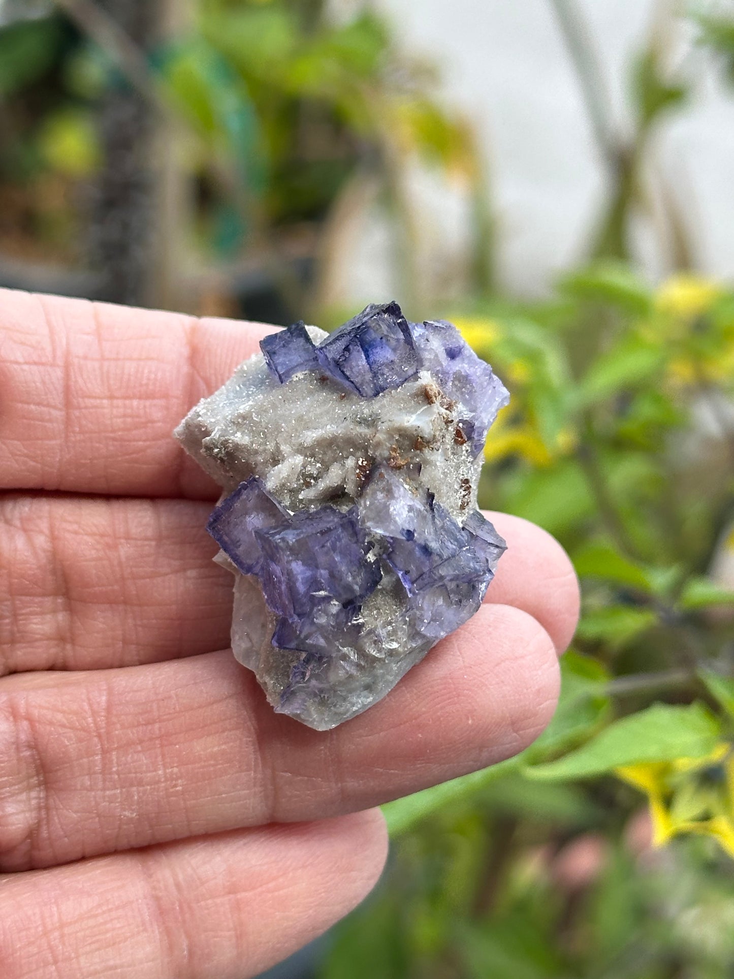 Elmwood Fluorite