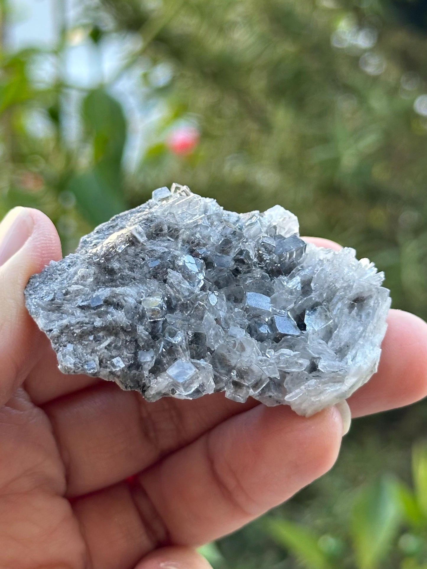 Fluorite with Barite from the Emilio Mine