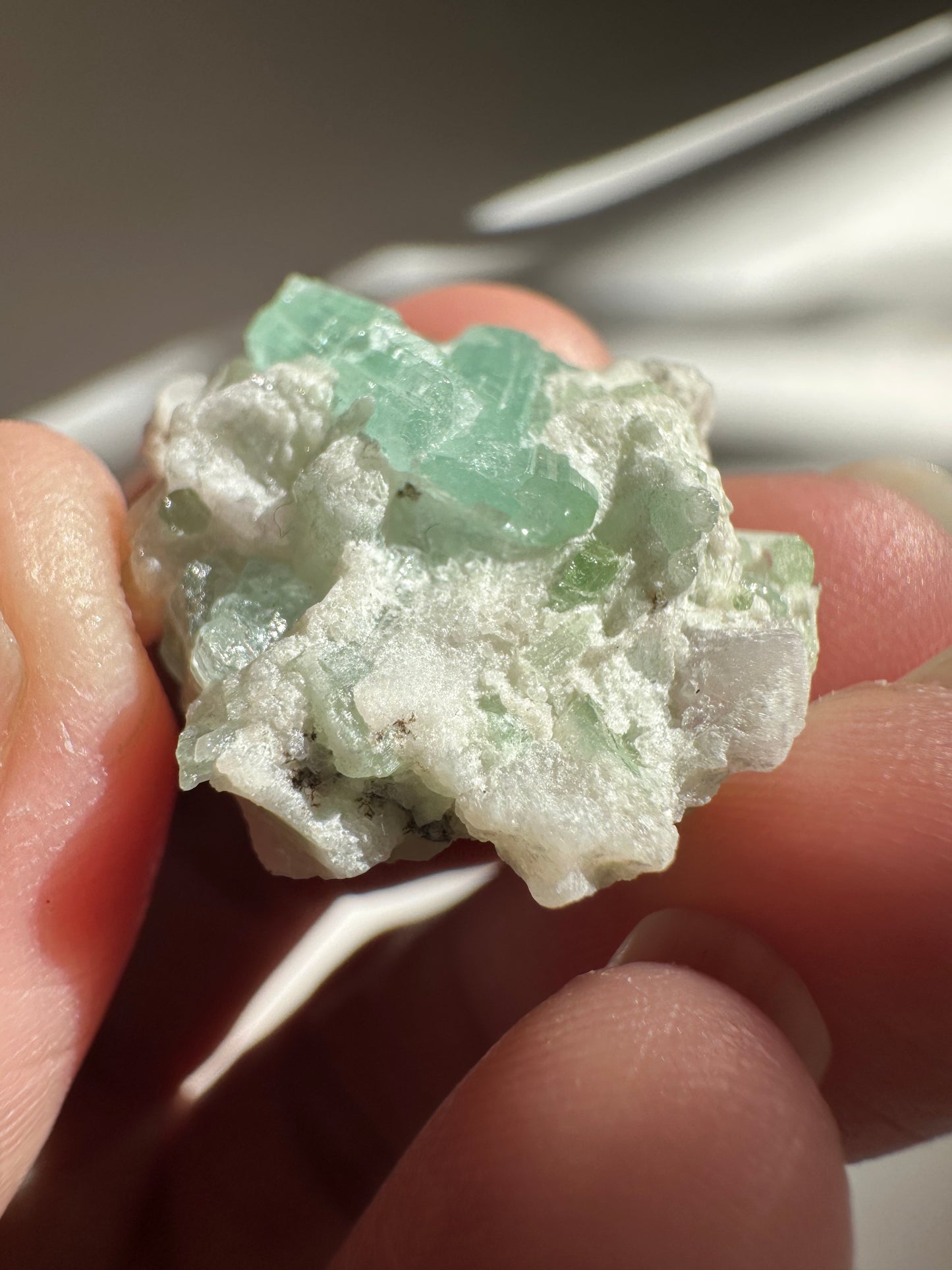 Tourmaline in Quartz