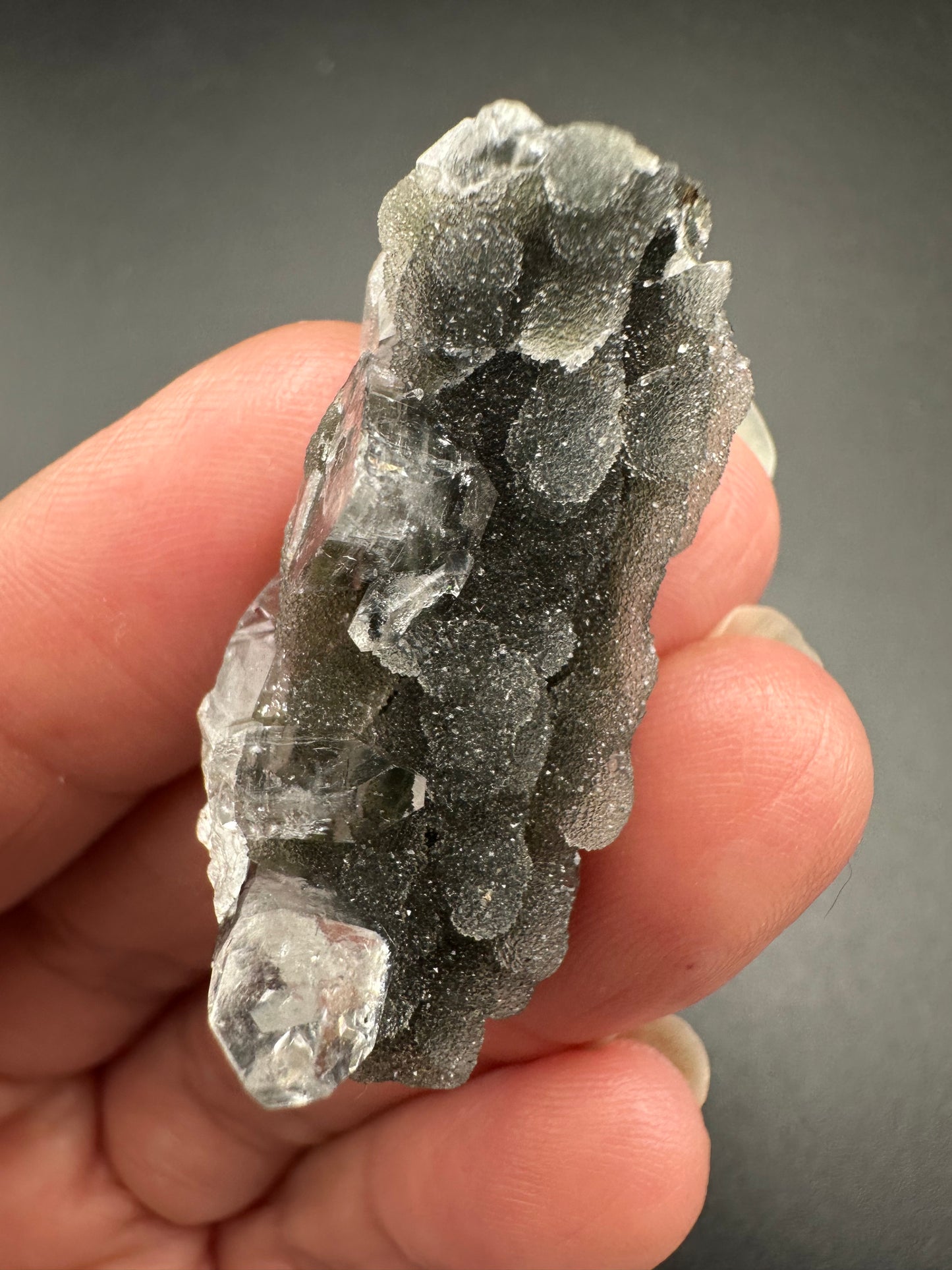 Black Chalcedony with Apophyllite