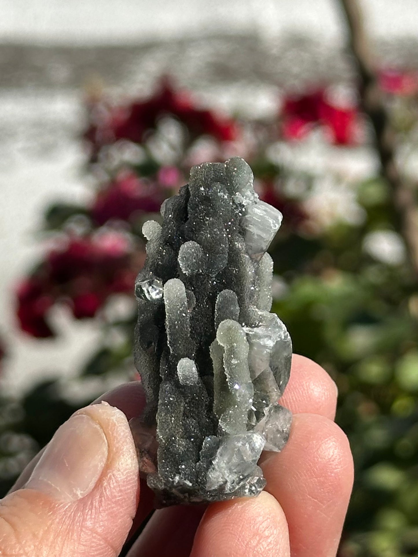 Black Chalcedony with Apophyllite