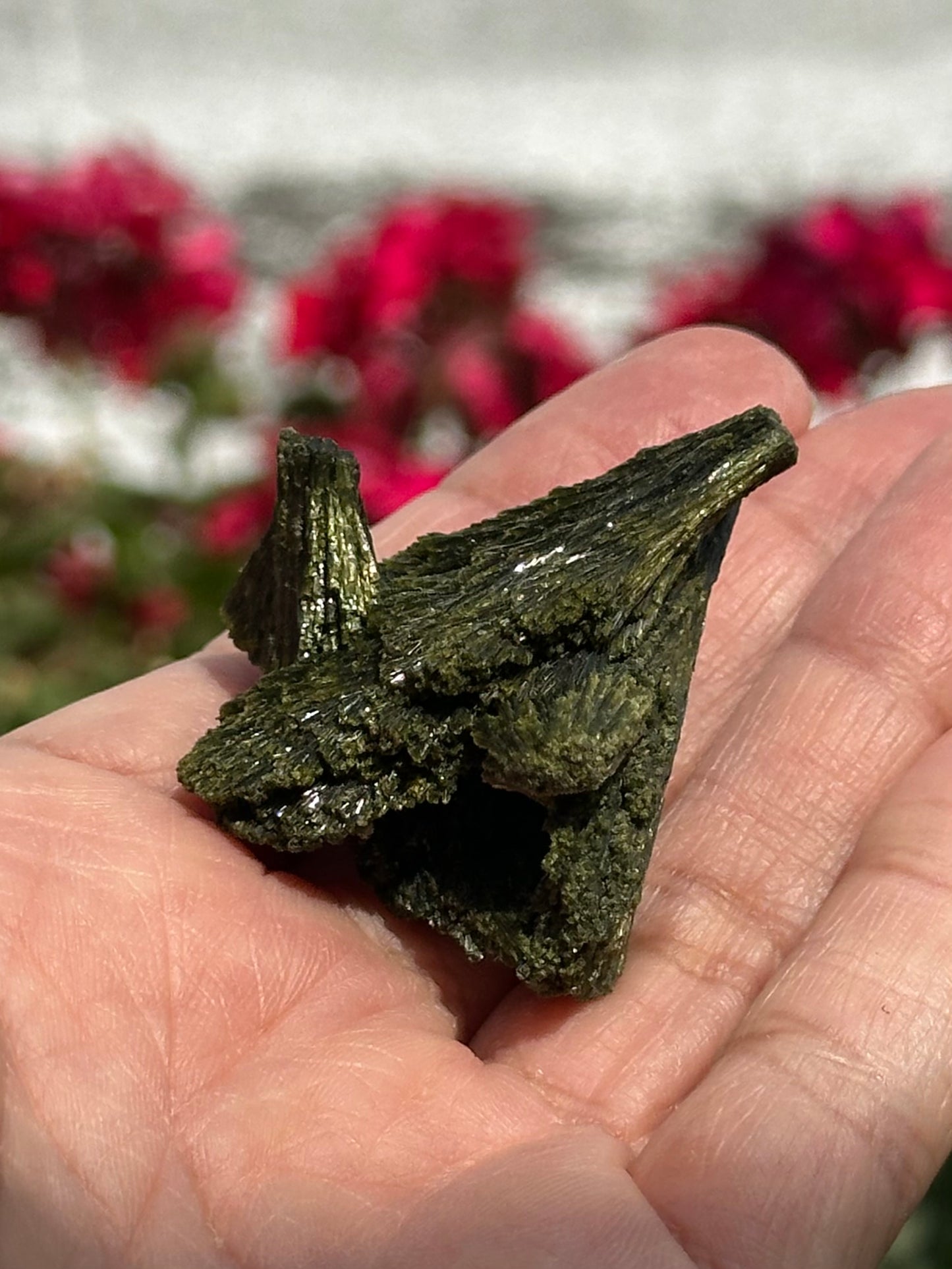Epidote Fan