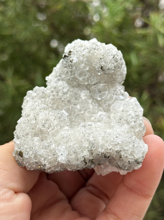 Calcite and Marcasite from the Linwood Mine