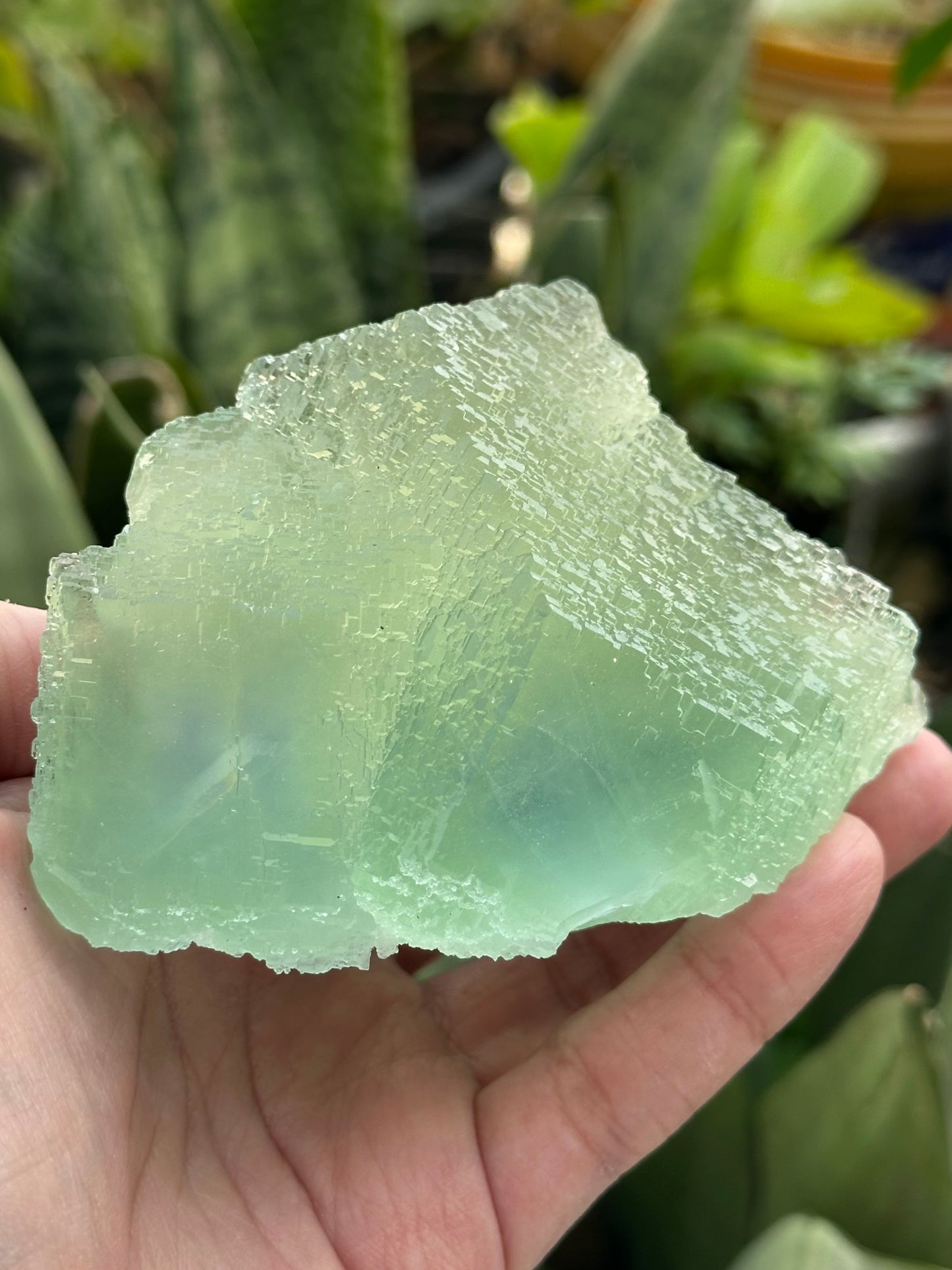 Green Fluorite from the Manaoshan Mine