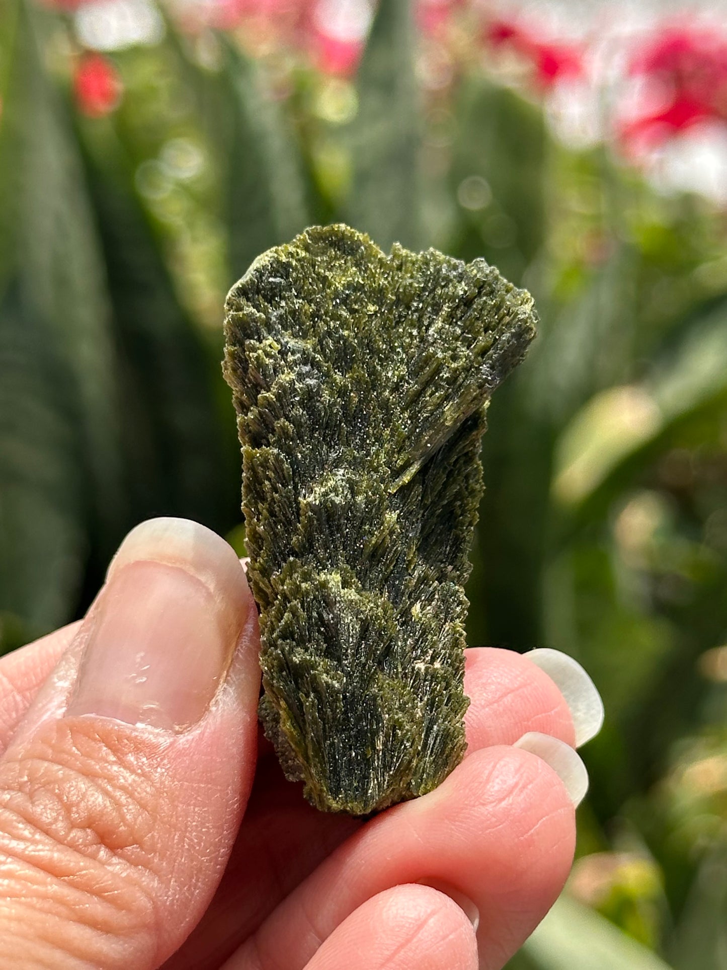 Epidote Fan