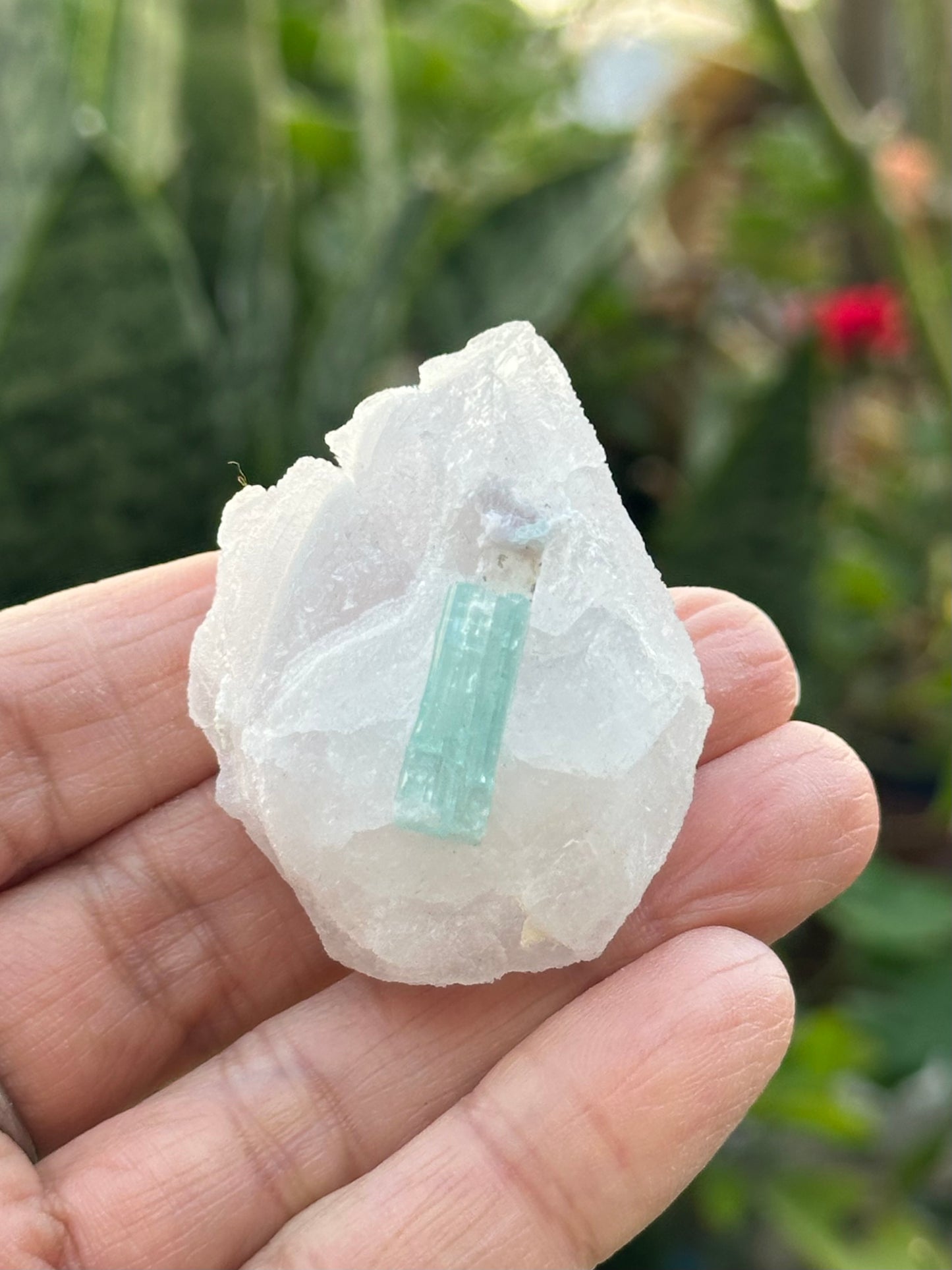 Tourmaline on Pollucite Specimen