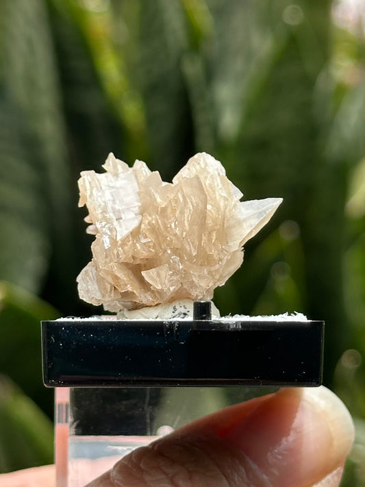Cerussite