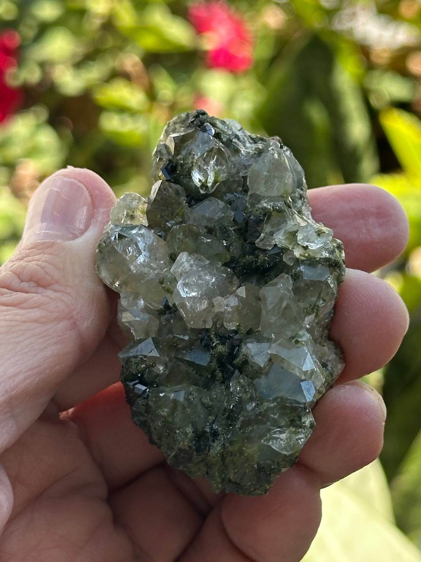 Epidote with Quartz
