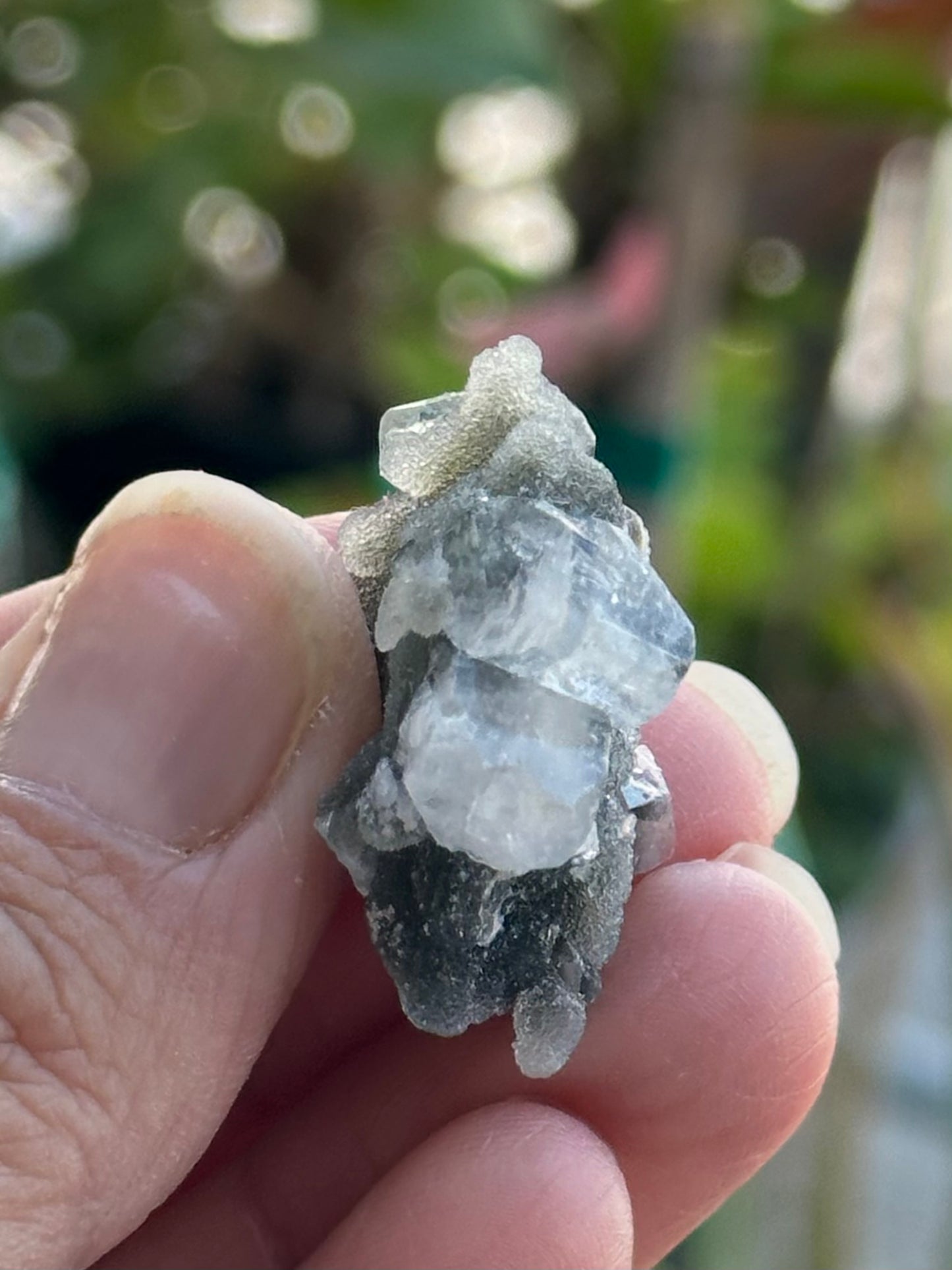 Black Chalcedony with Apophyllite