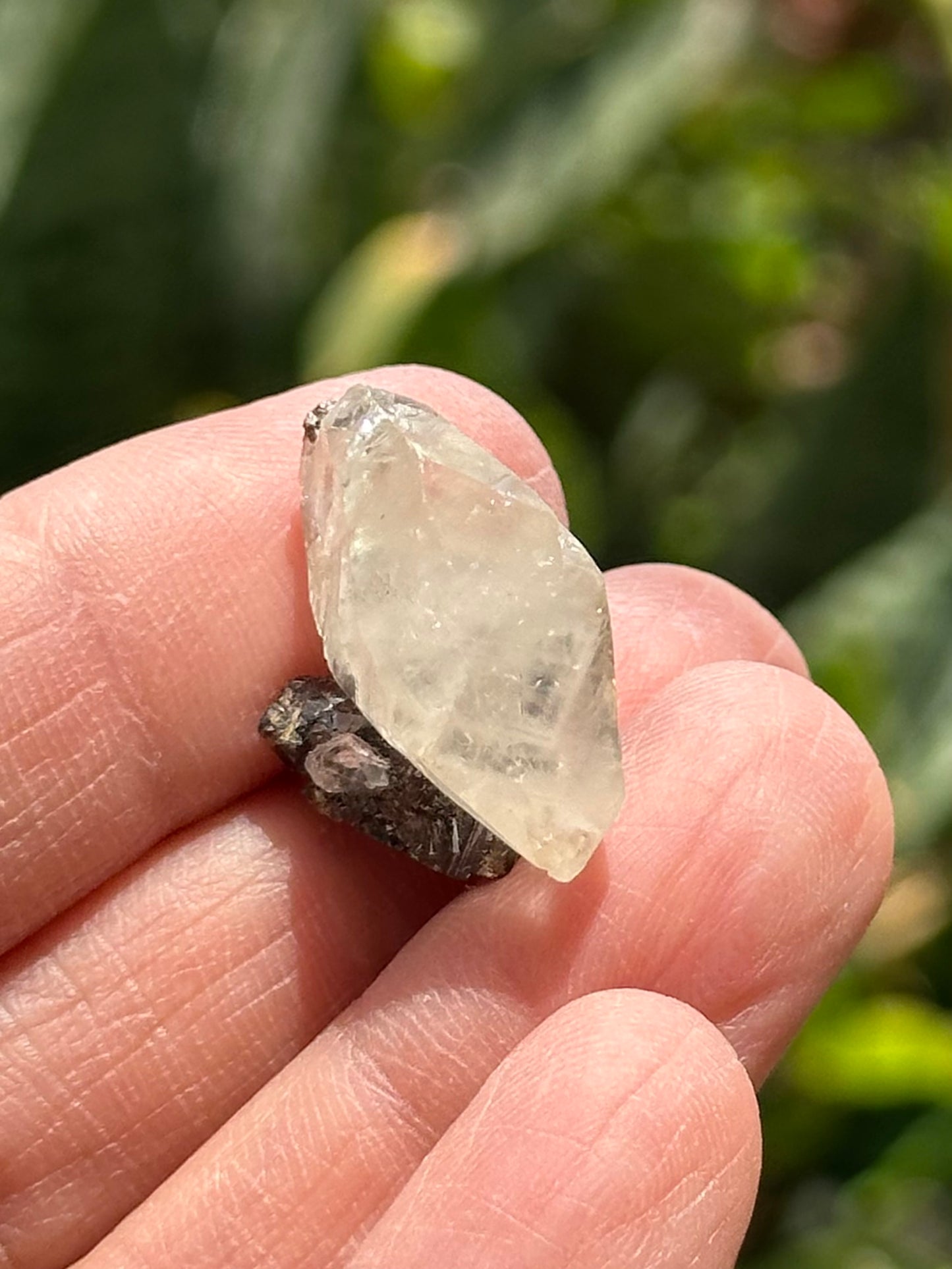 Calcite with Sphalerite from the Elmwood Mine
