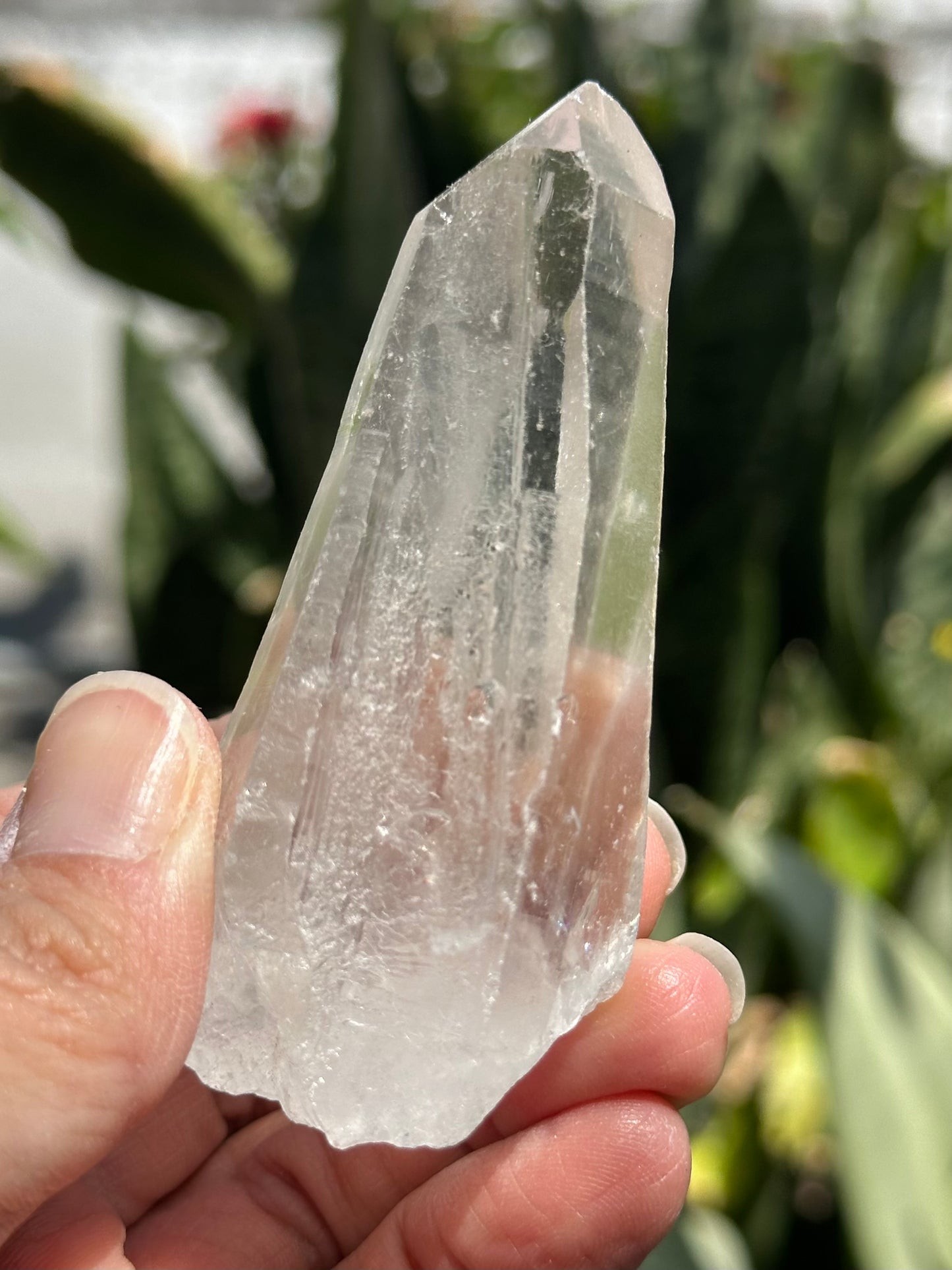 Lemurian Quartz