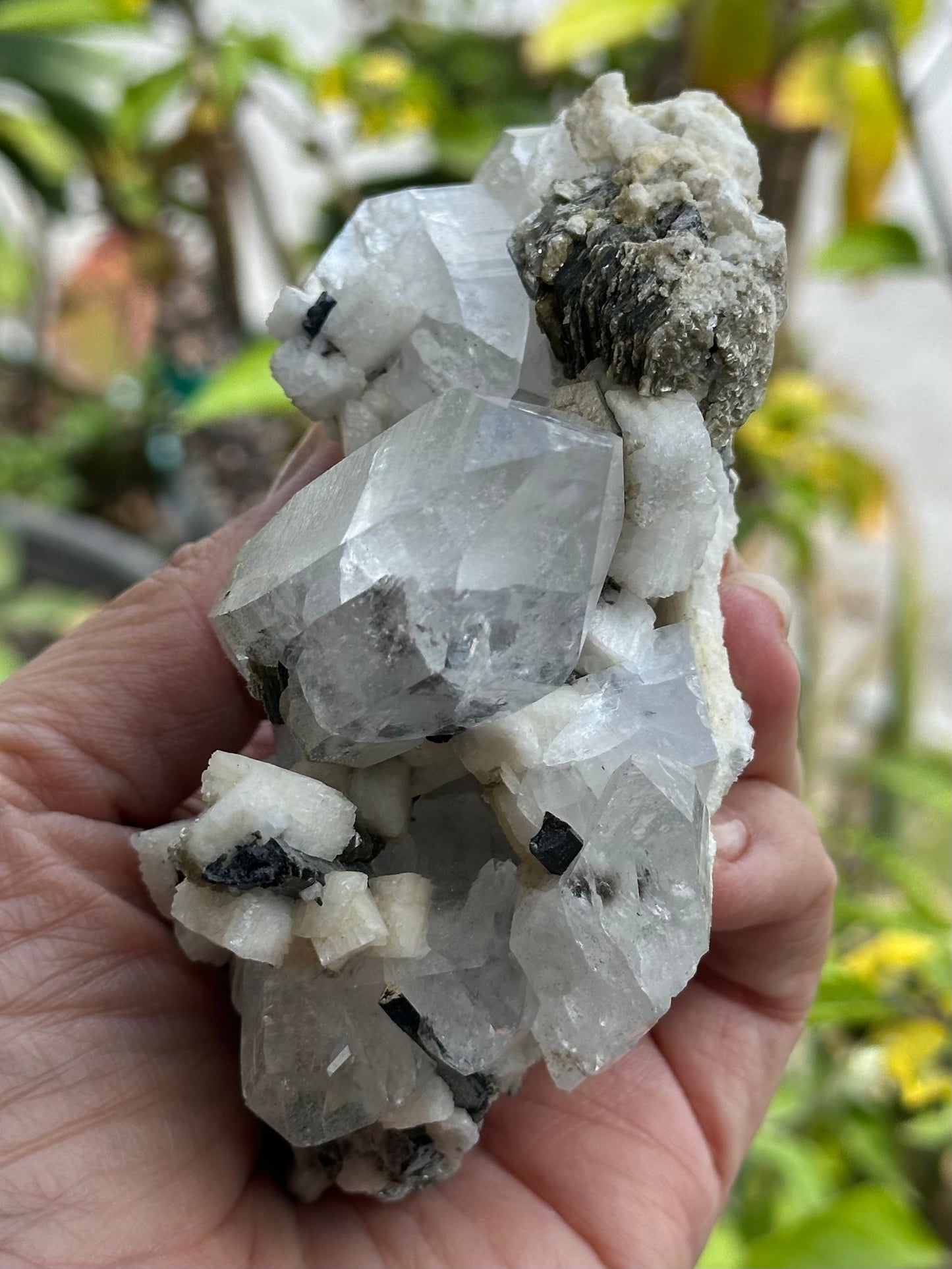 Quartz, Schorl, Albite, and Mica Specimen