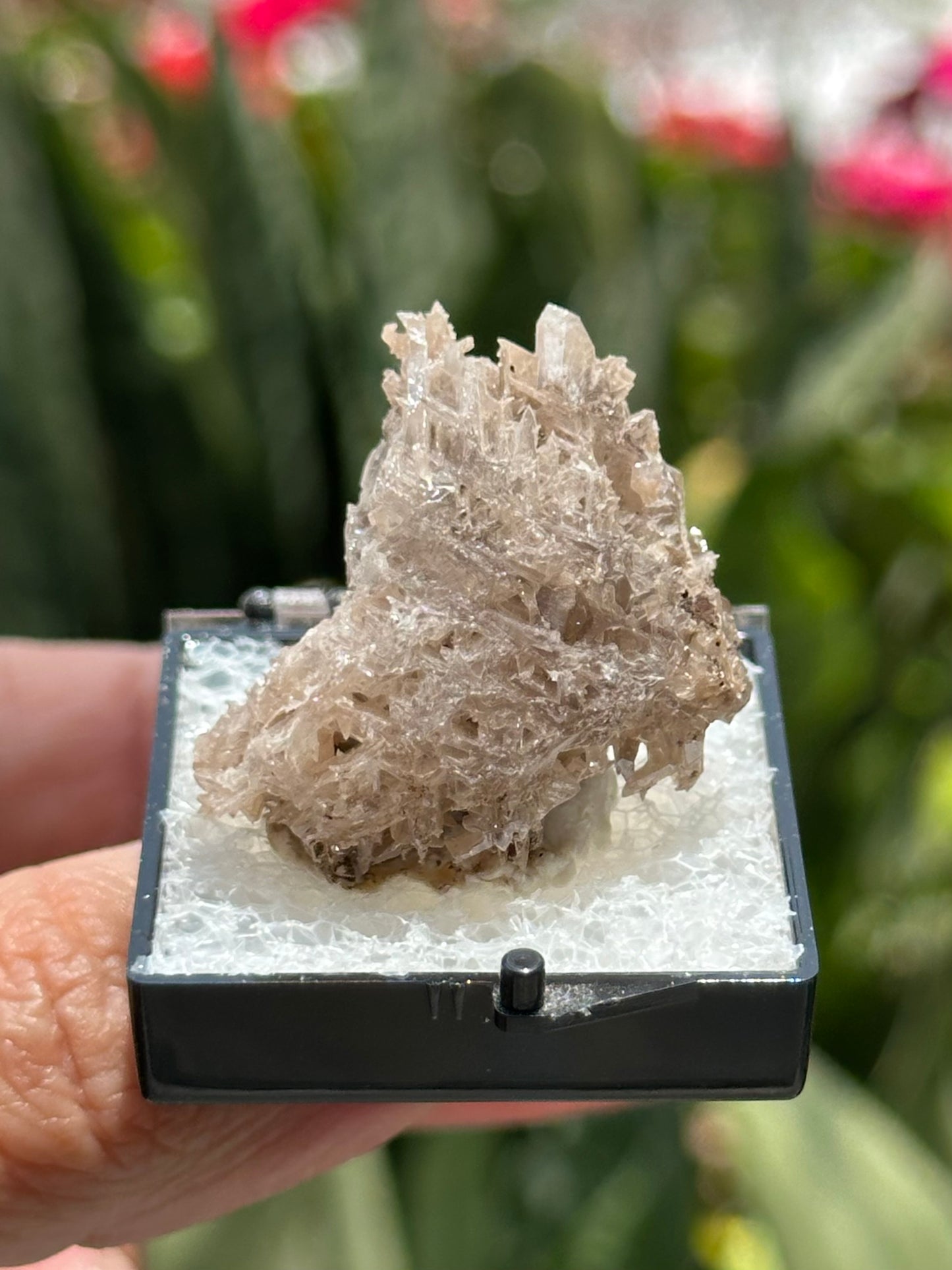 Cerussite