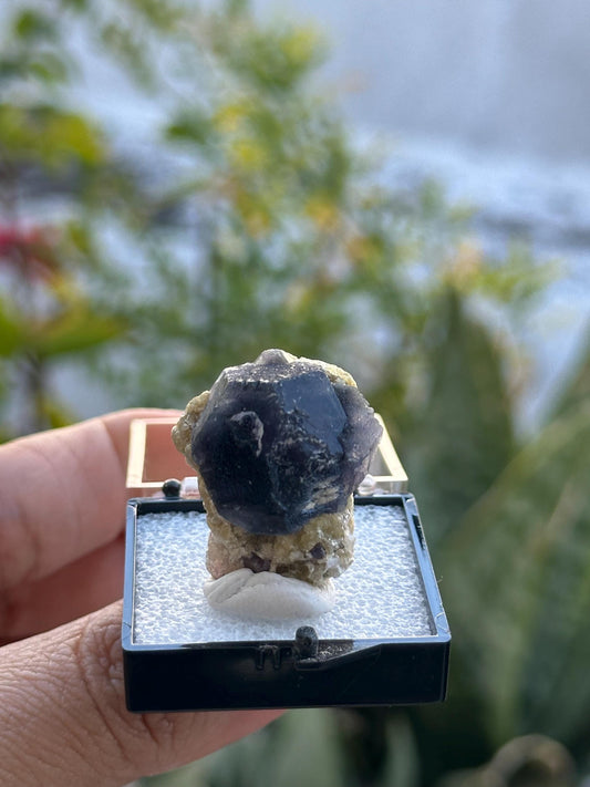 Yindu Fluorite