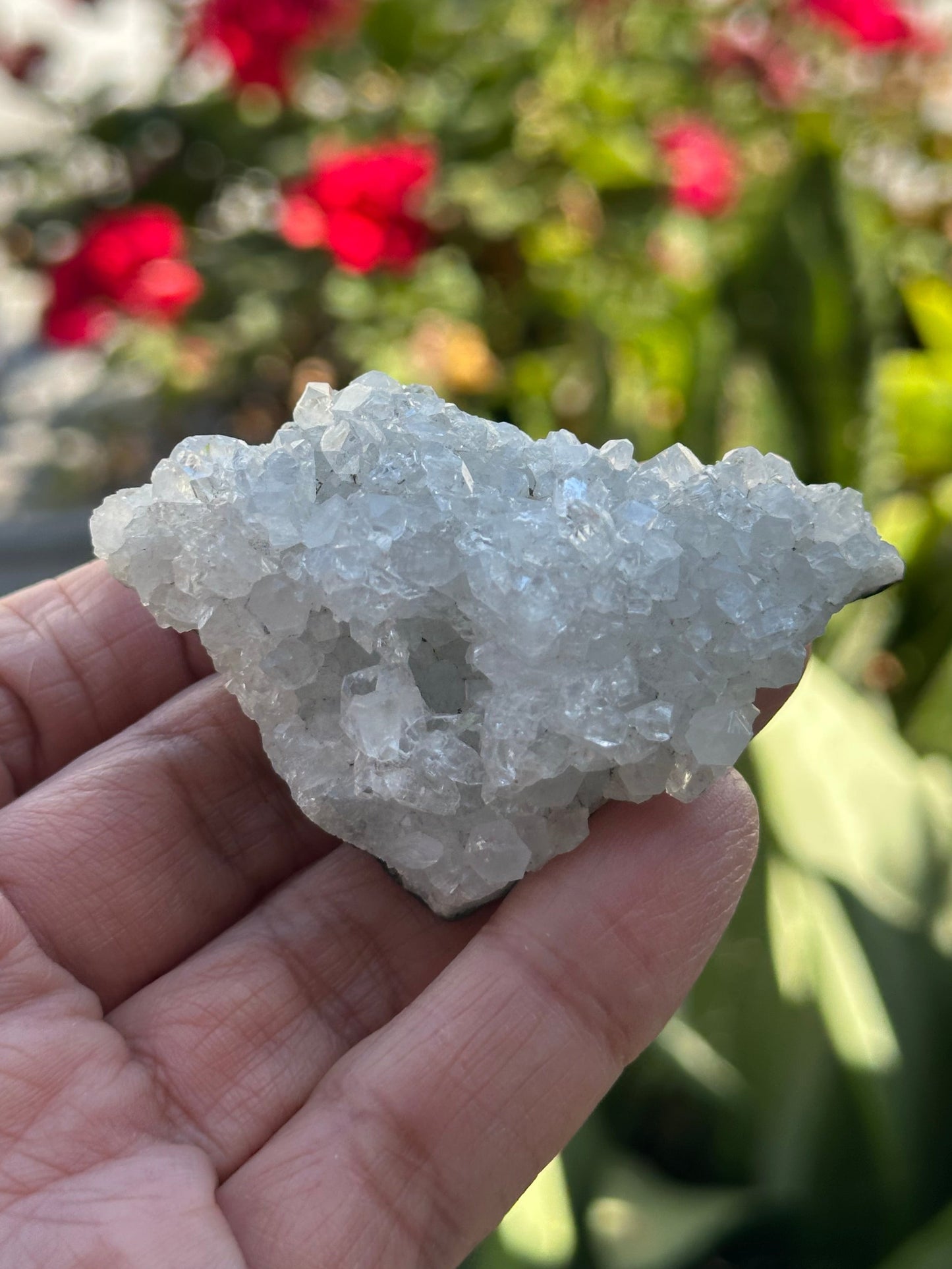 Apophyllite Crystal