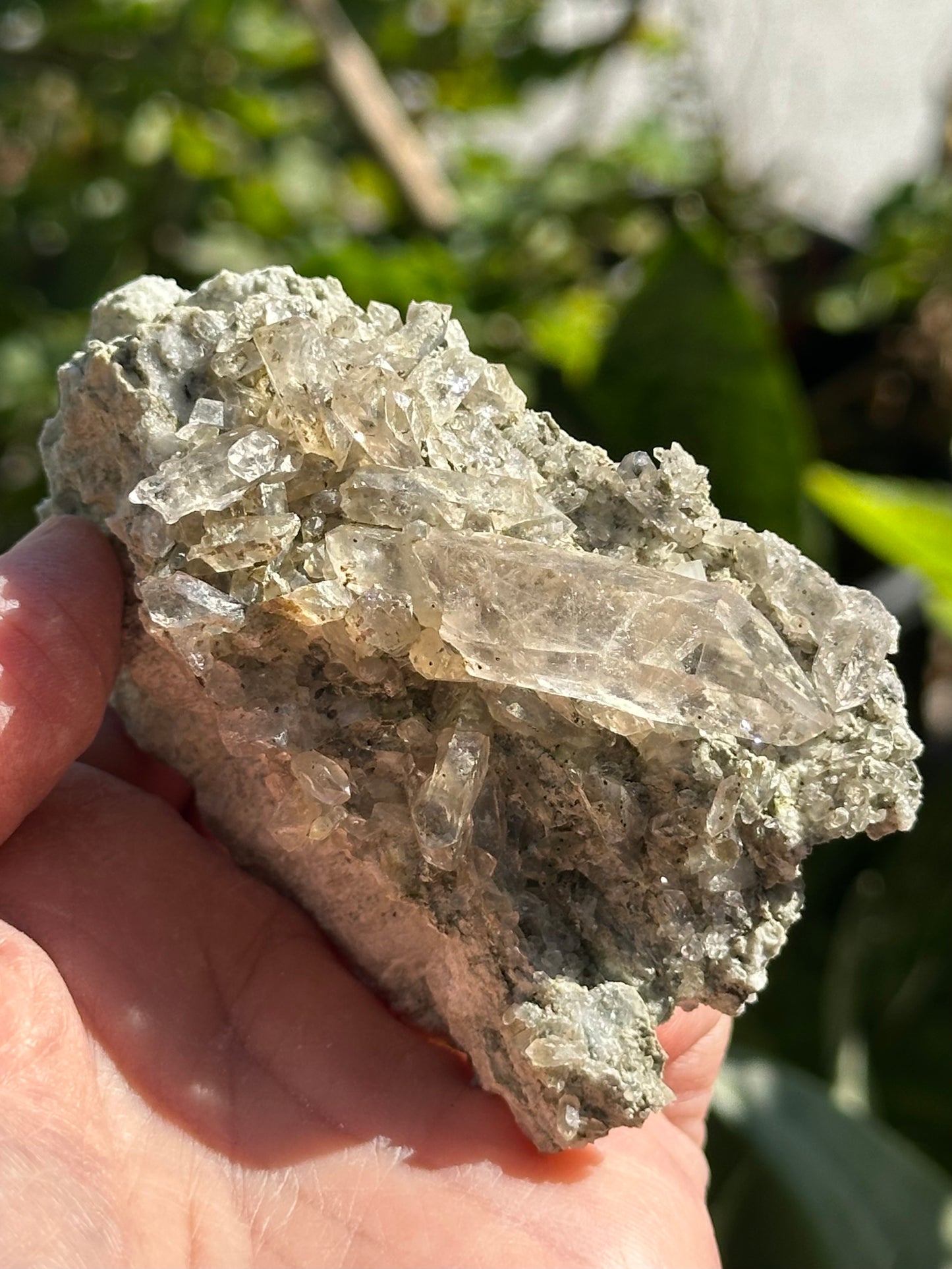 Swiss Quartz Crystals on Matrix