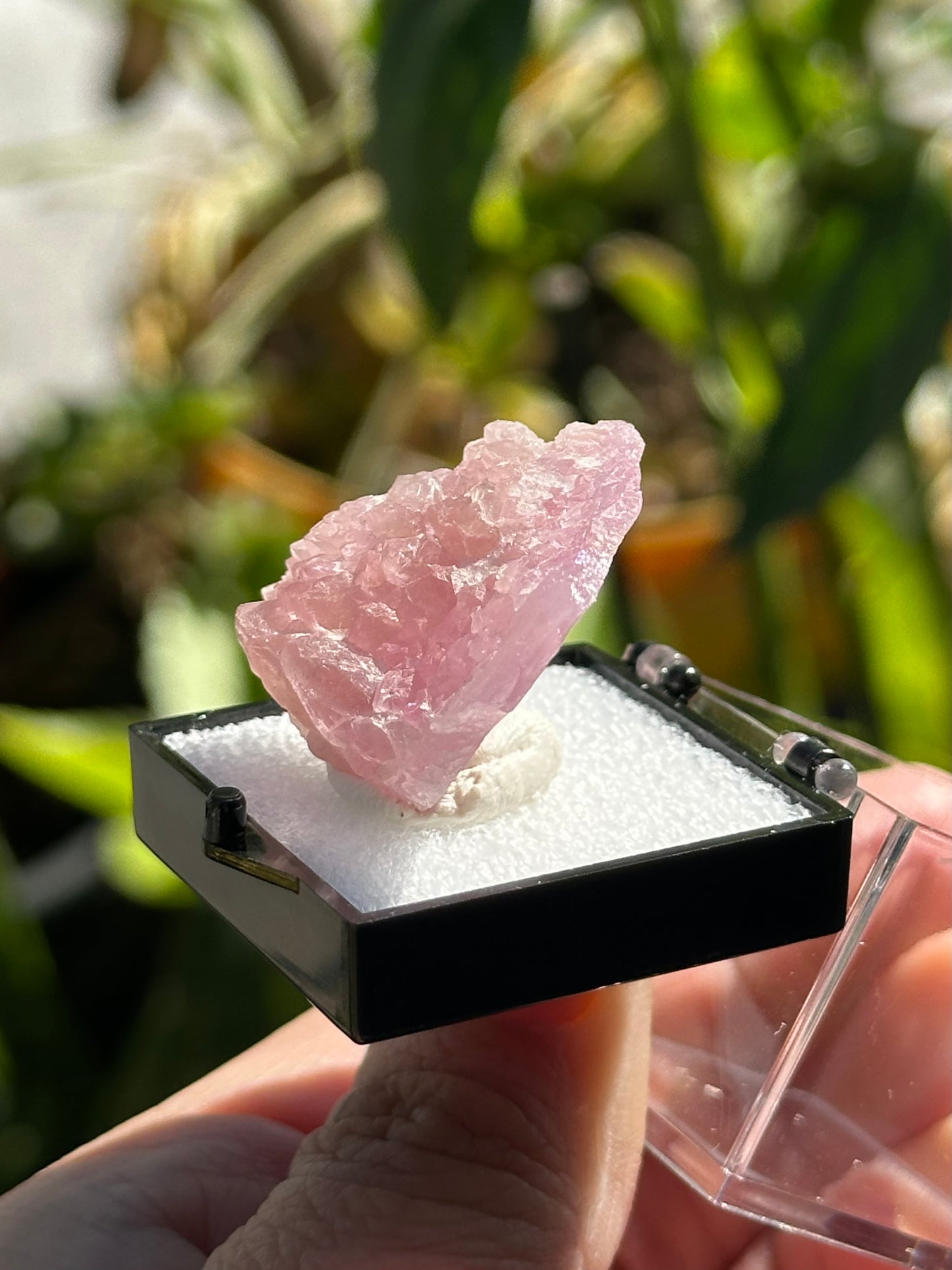 Crystallized Rose Quartz