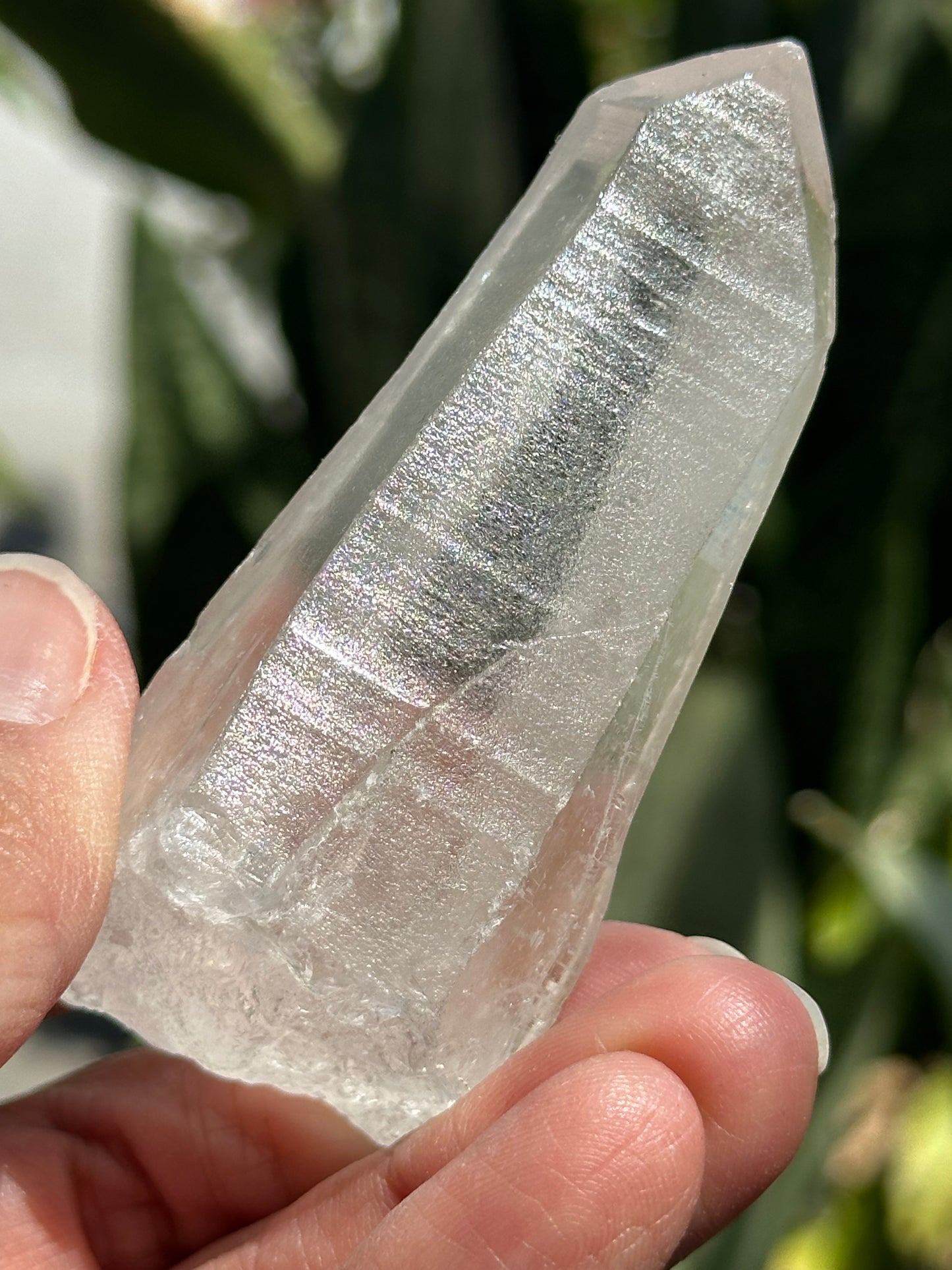 Lemurian Quartz