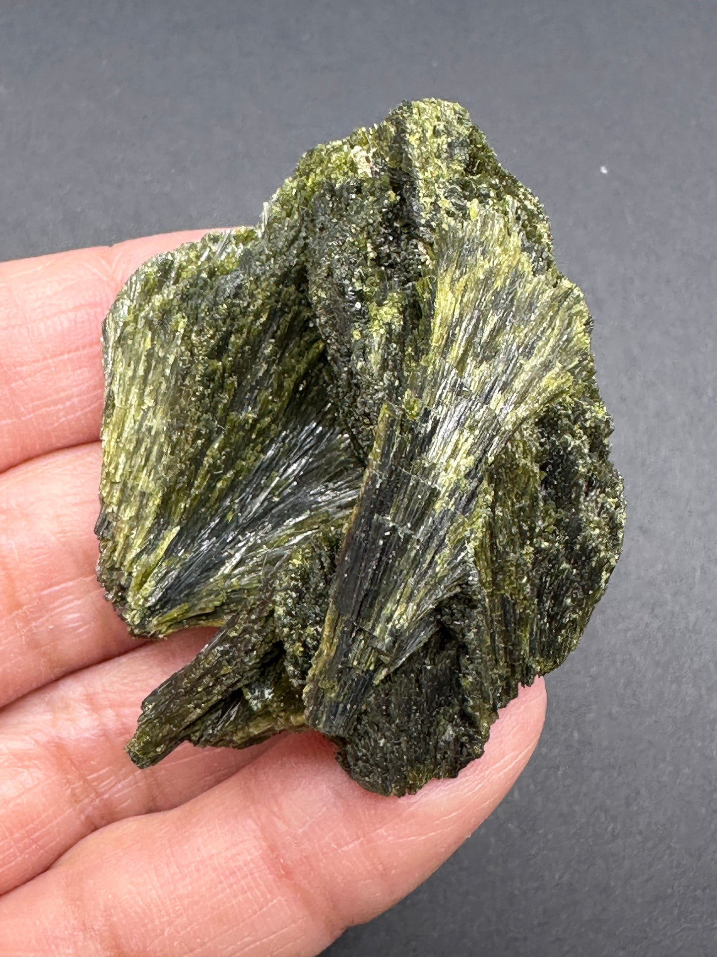 Epidote Fan