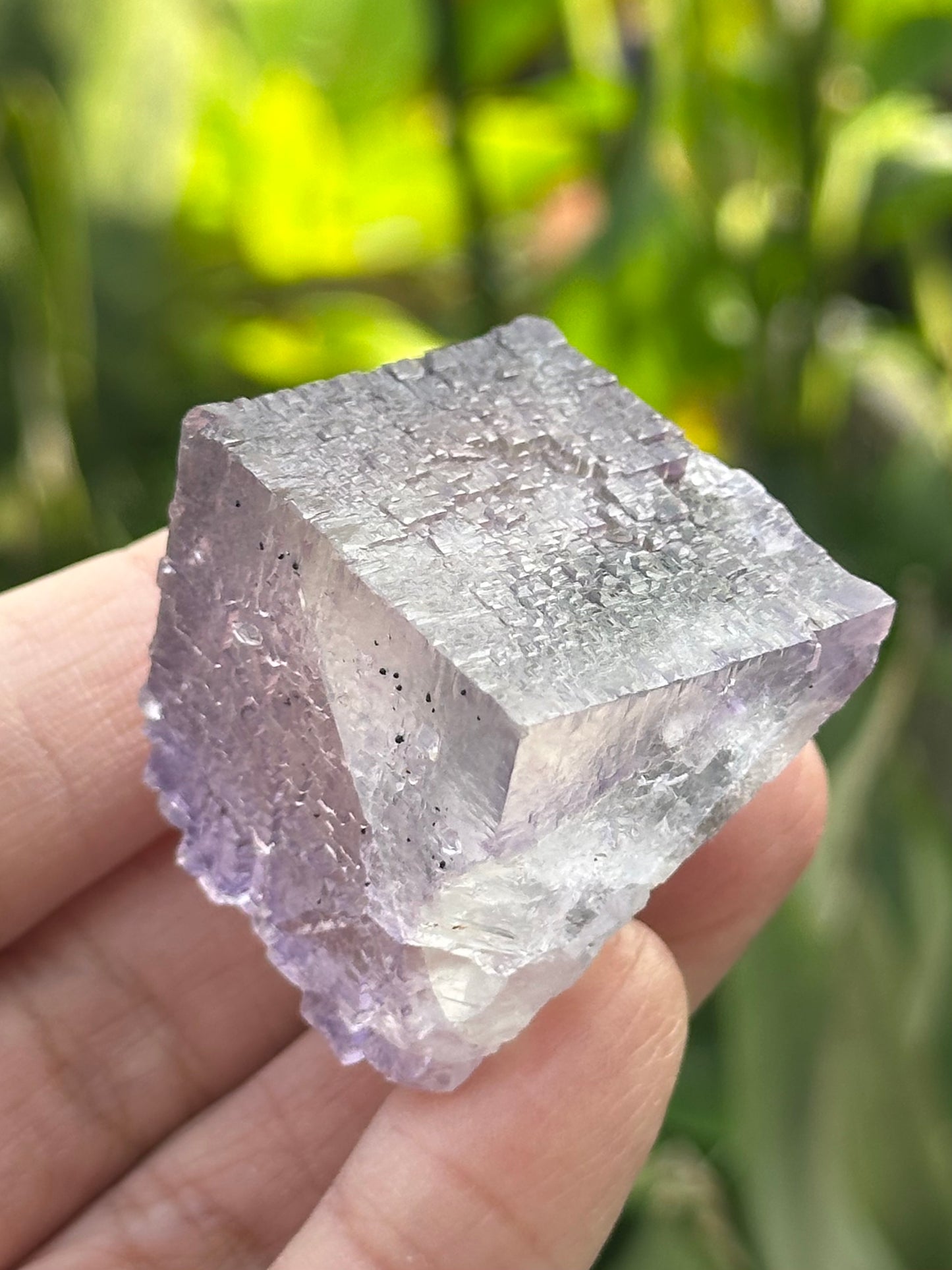 Fluorite Cube from the Elmwood Mine
