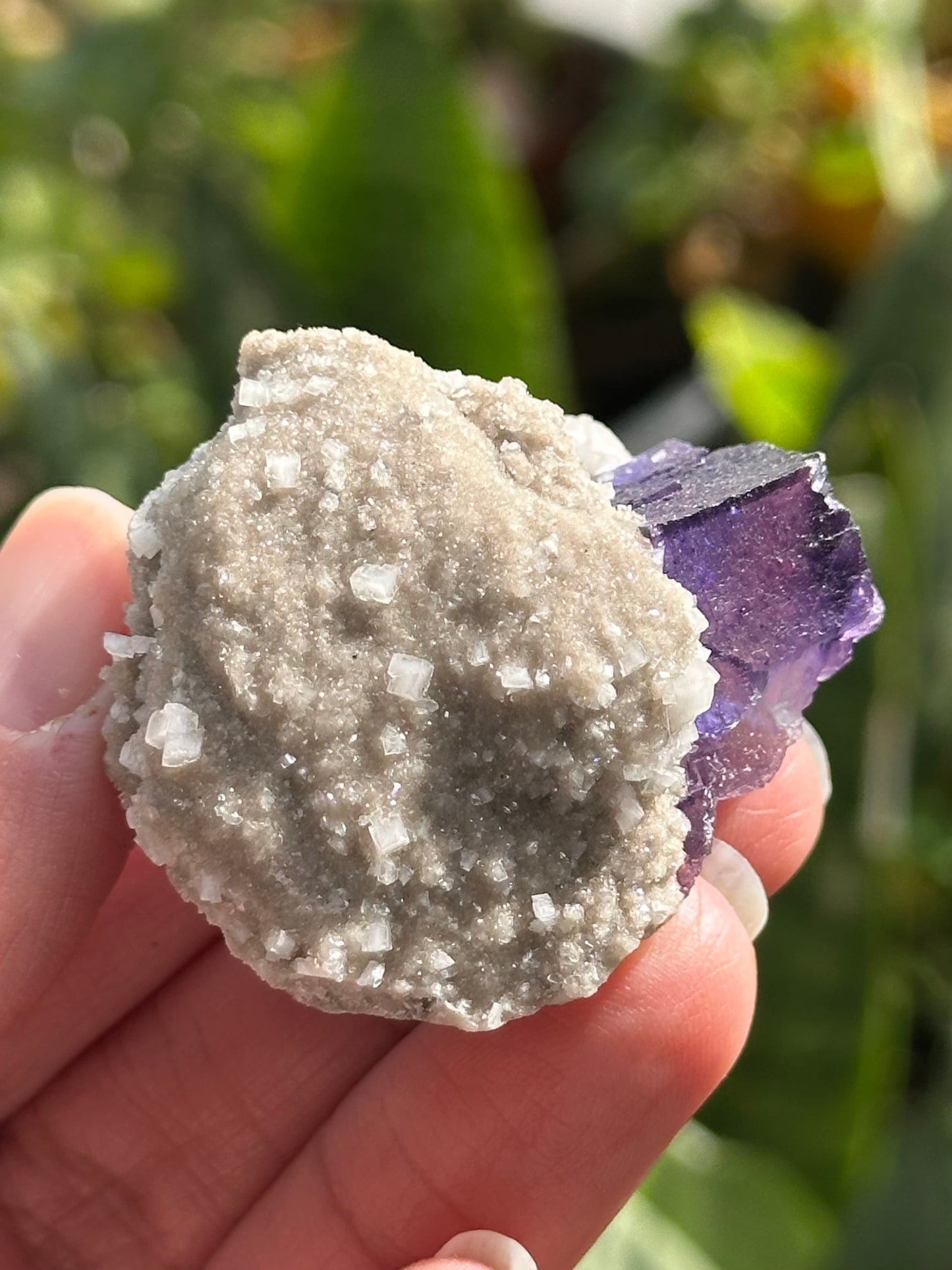 Fluorite with Dolomite and Quartz from the Elmwood Mine