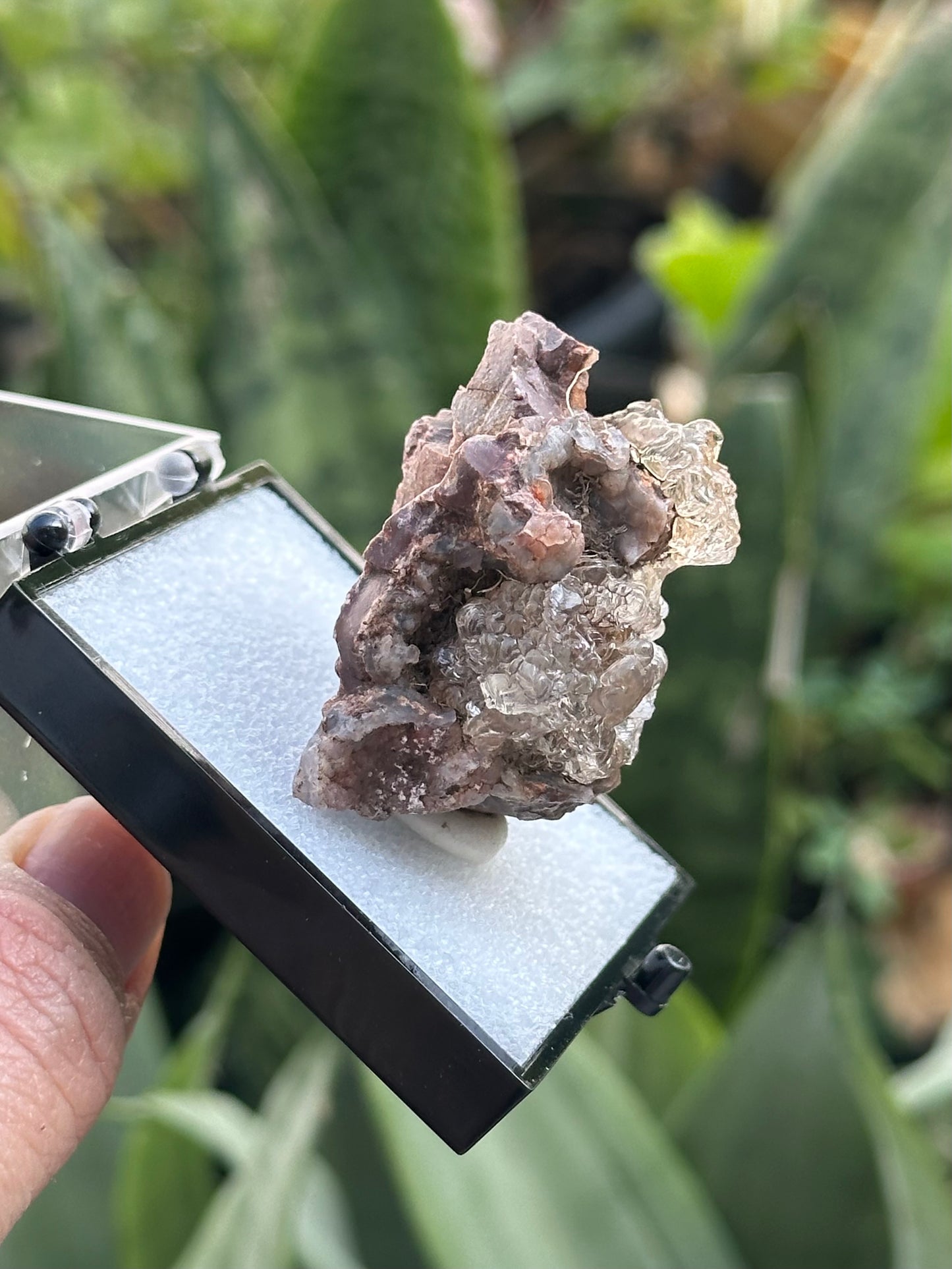 Hyalite Opal from Mexico