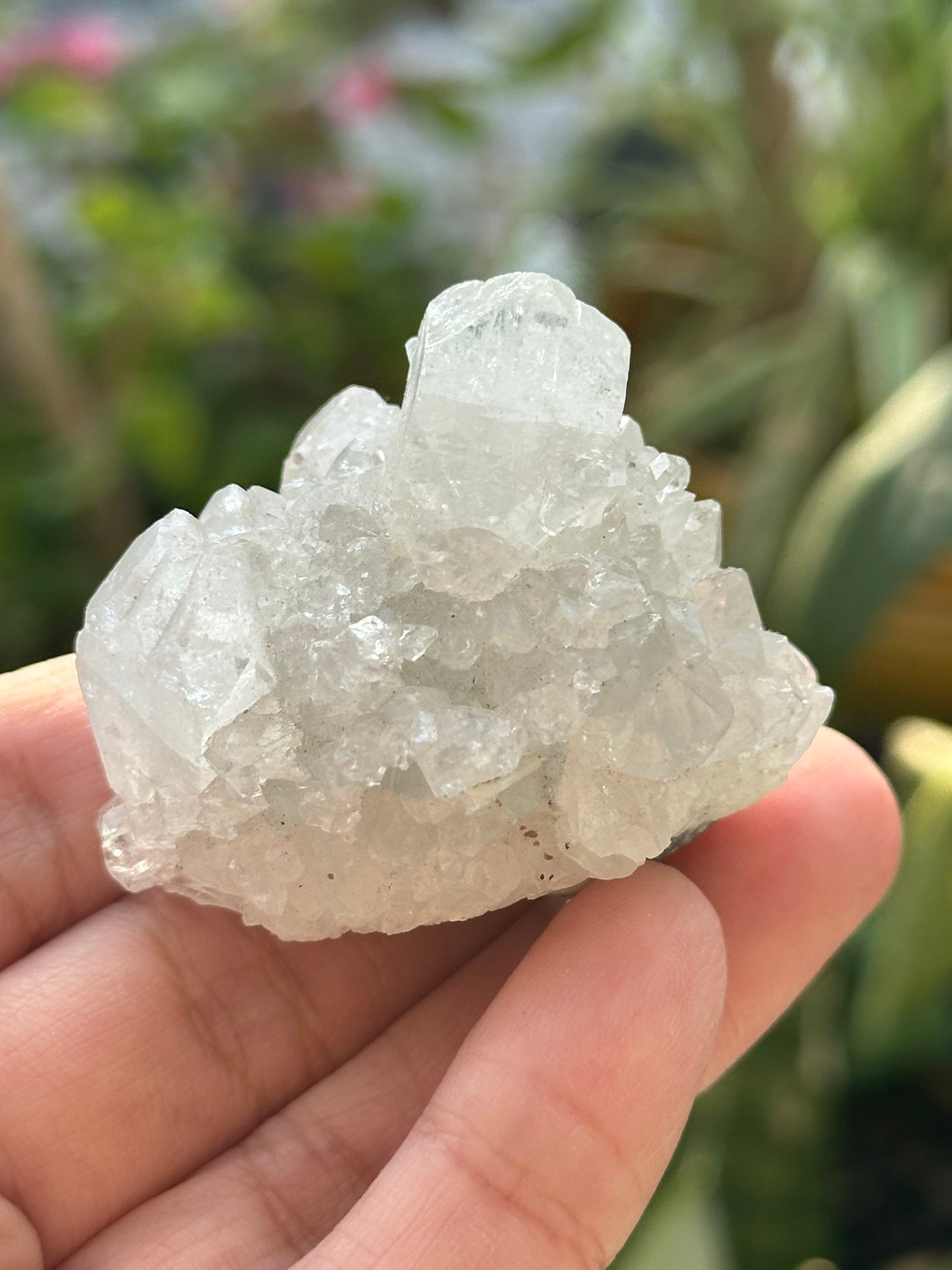 Apophyllite Crystal