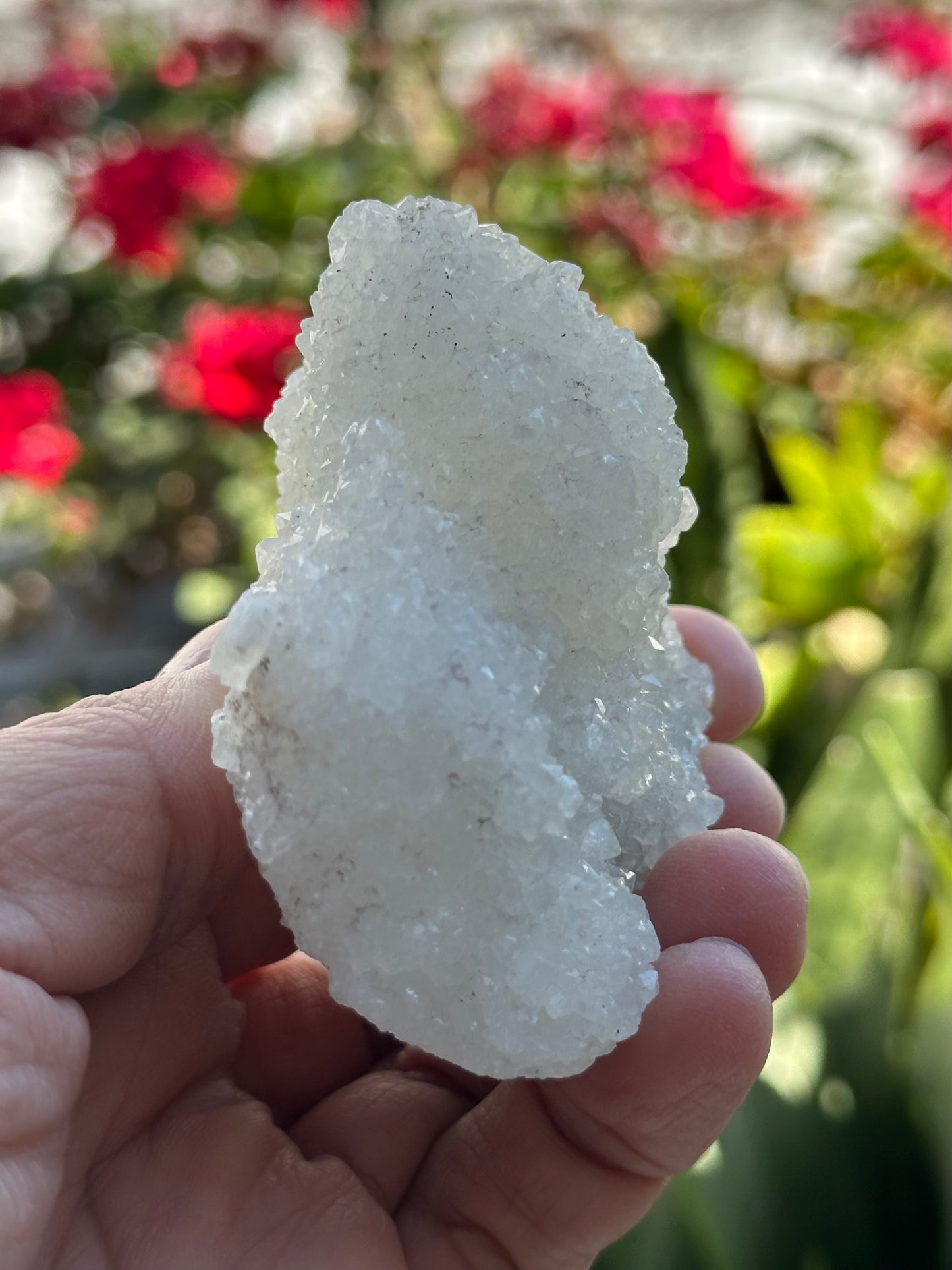 Apophyllite Specimen from India