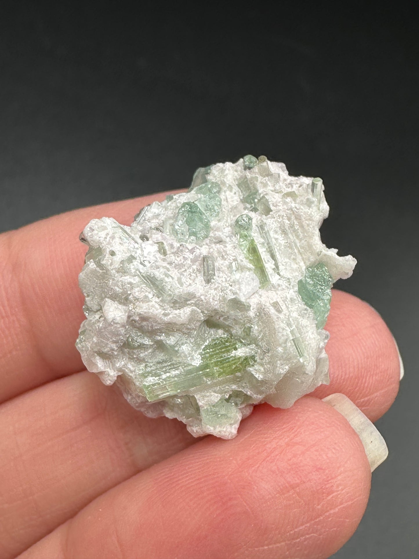 Tourmaline in Quartz
