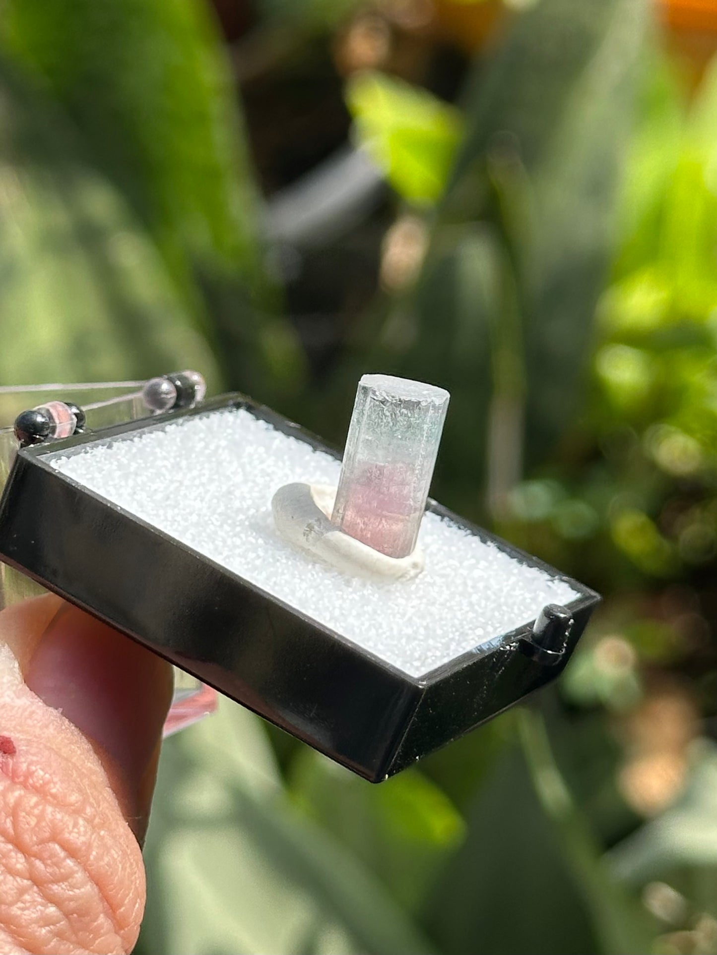 Paprok Tourmaline