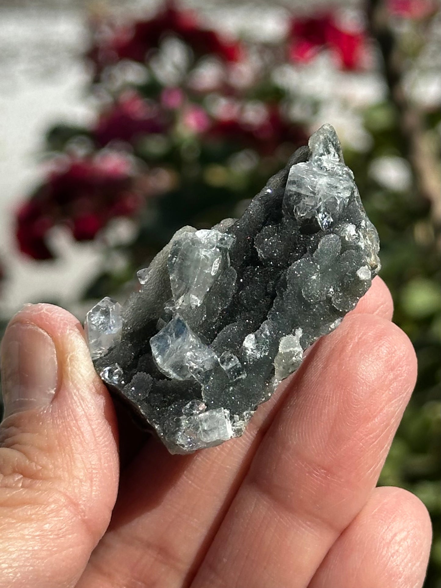 Black Chalcedony with Apophyllite