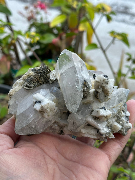 Quartz, Schorl, Albite, and Mica Specimen